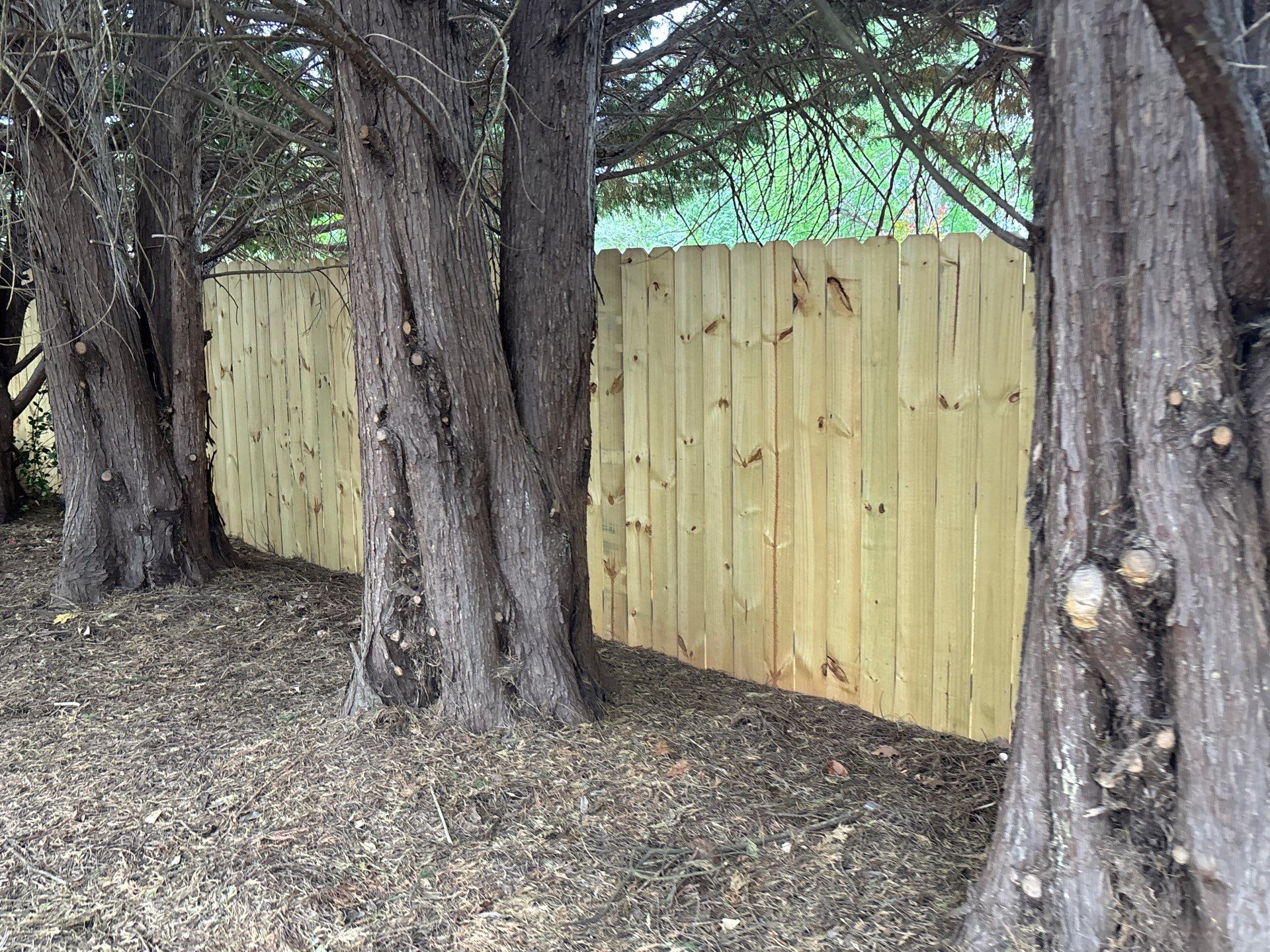 Fence using Wood Sealant by DuraSeal