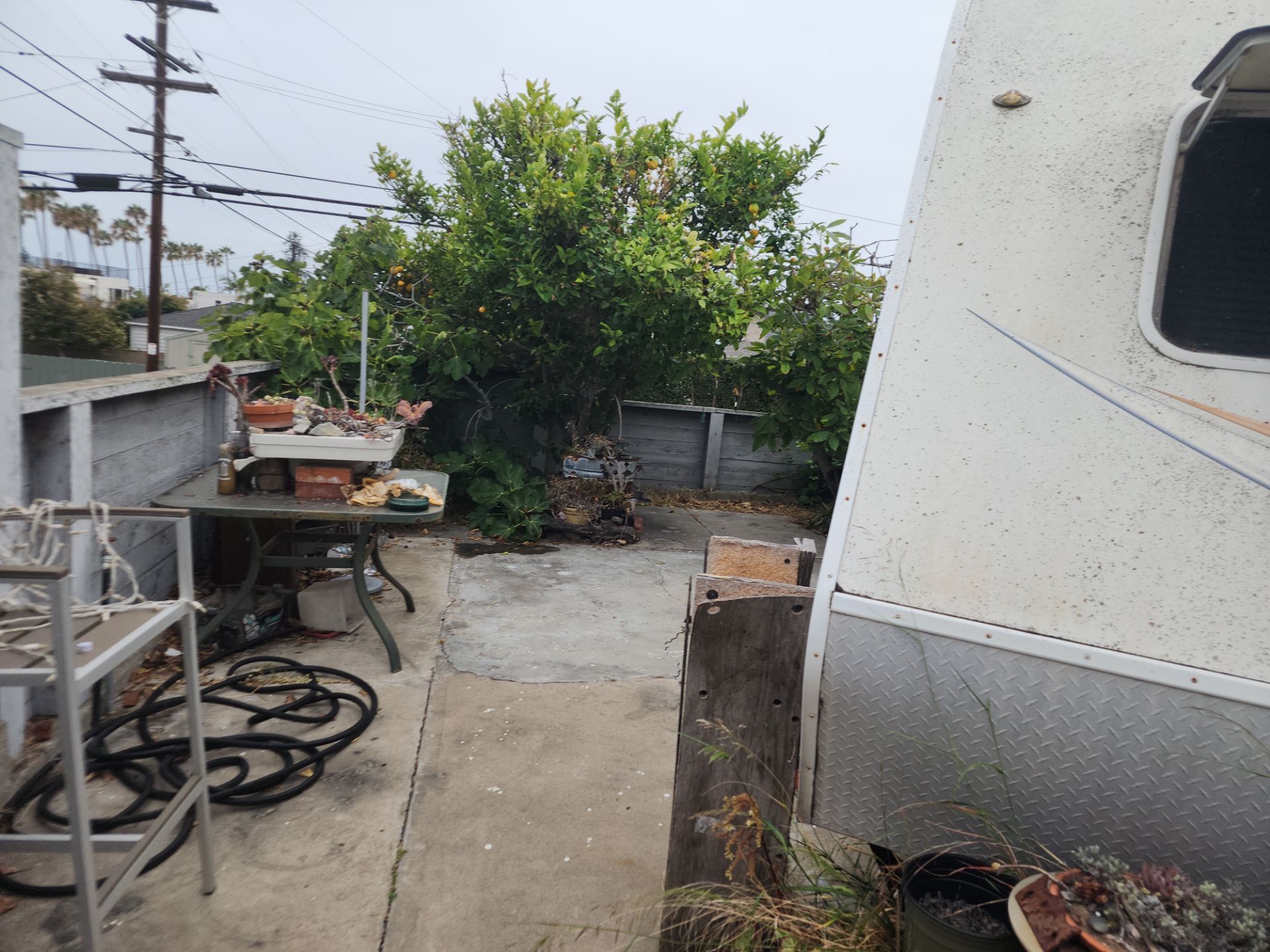San Diego Landscape Clean Up by Yard Techs