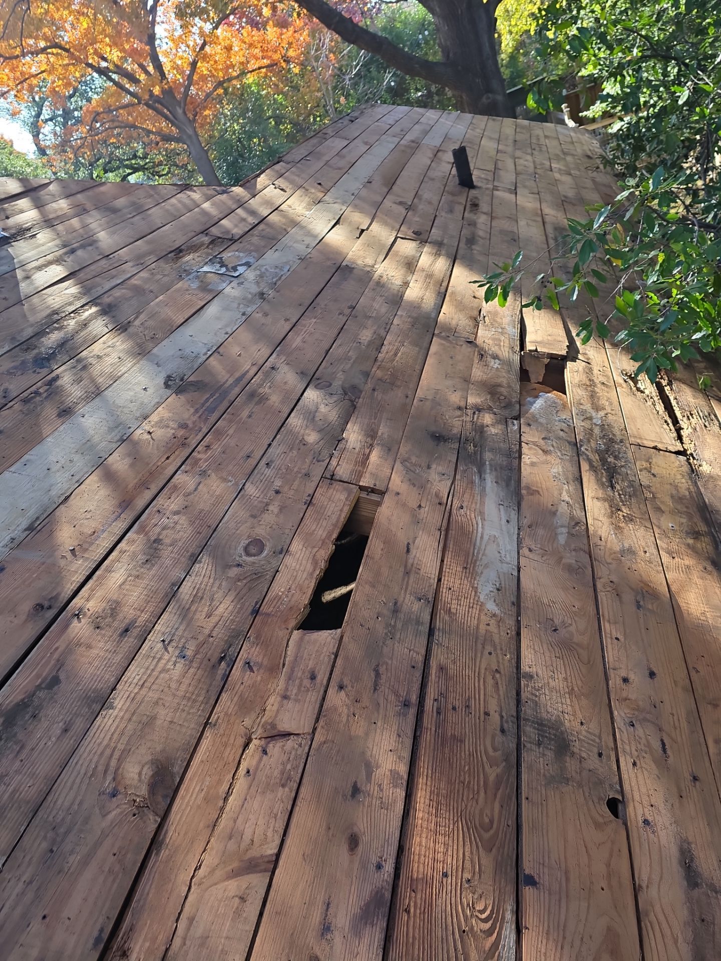 Project in Dallas by Armor Roofing | Exteriors