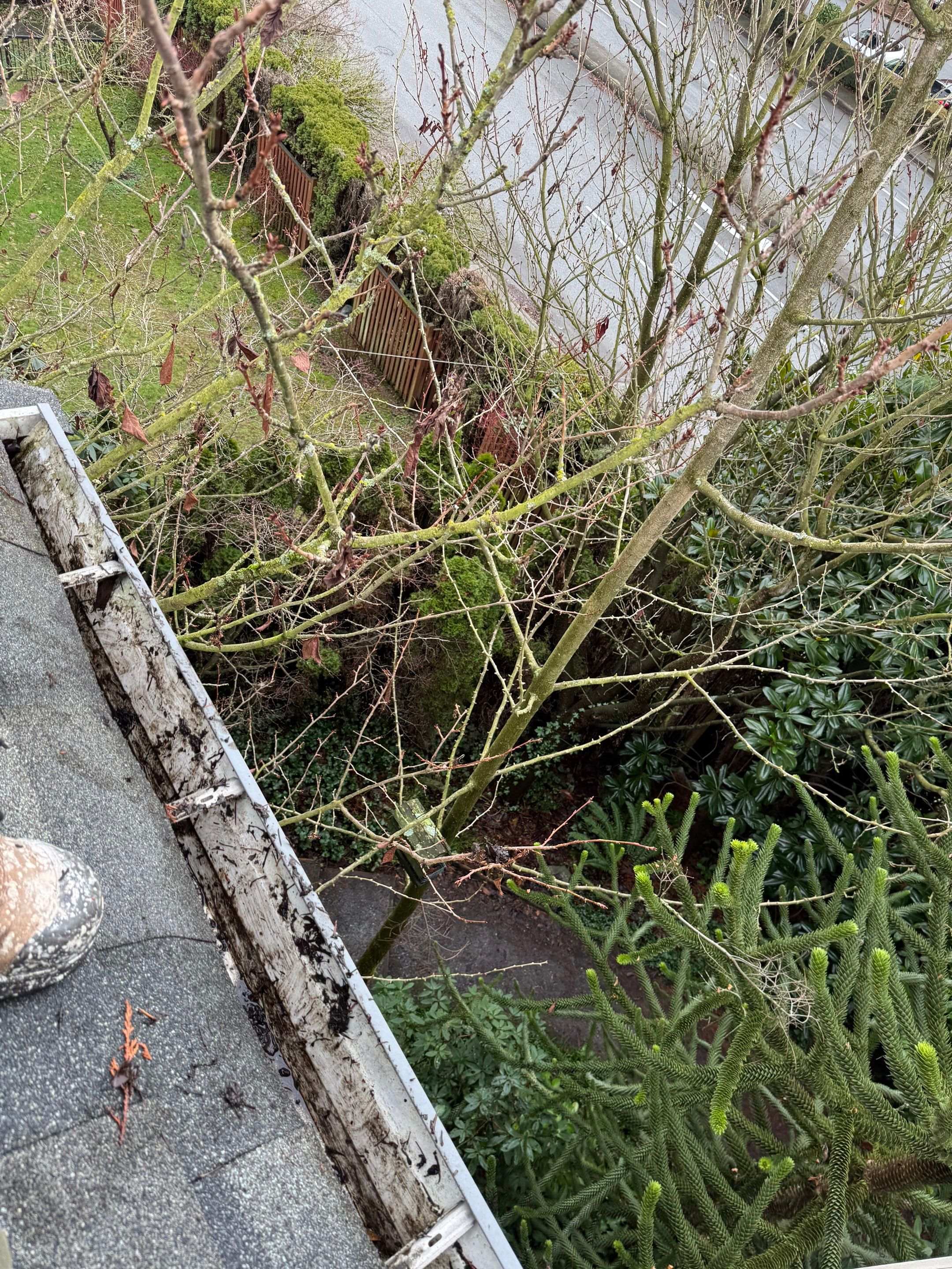 Gutter Cleaning by YVR Construction Group