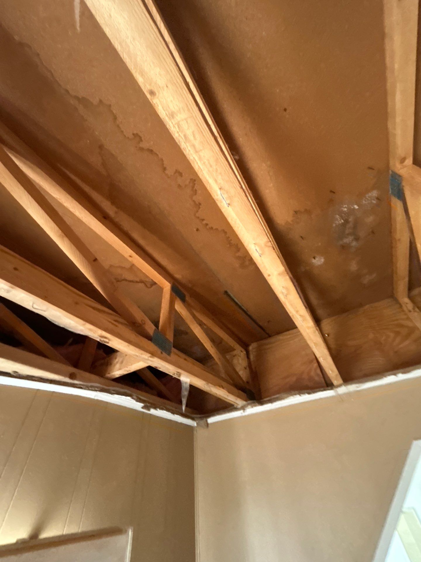 Mold Damage Removal In Ellenton, FL by Ampm Restoration Services