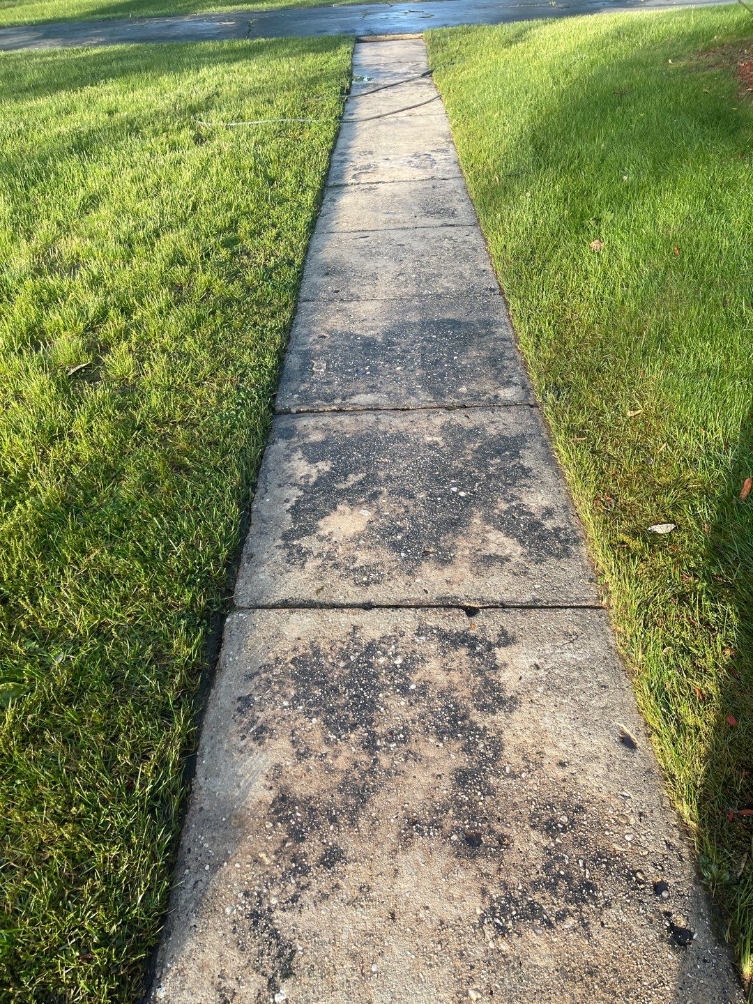 House, Pool & Rear Patio, Garage & Fence by SJ Exterior