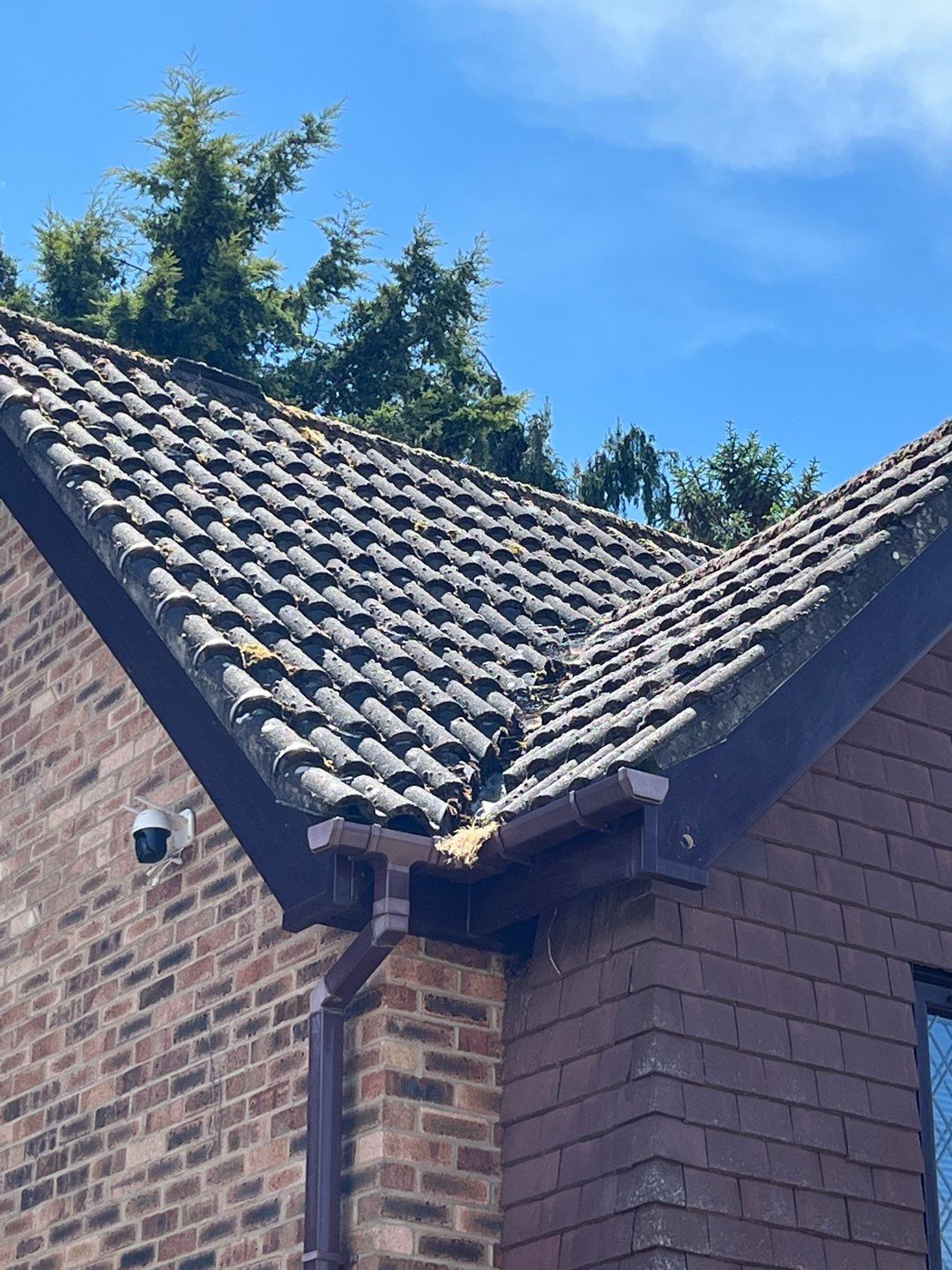 Roof Clean - Moss Removal using Honda 15lpm Low Pressure Washing Machine by Ges Exterior Cleaning ltd