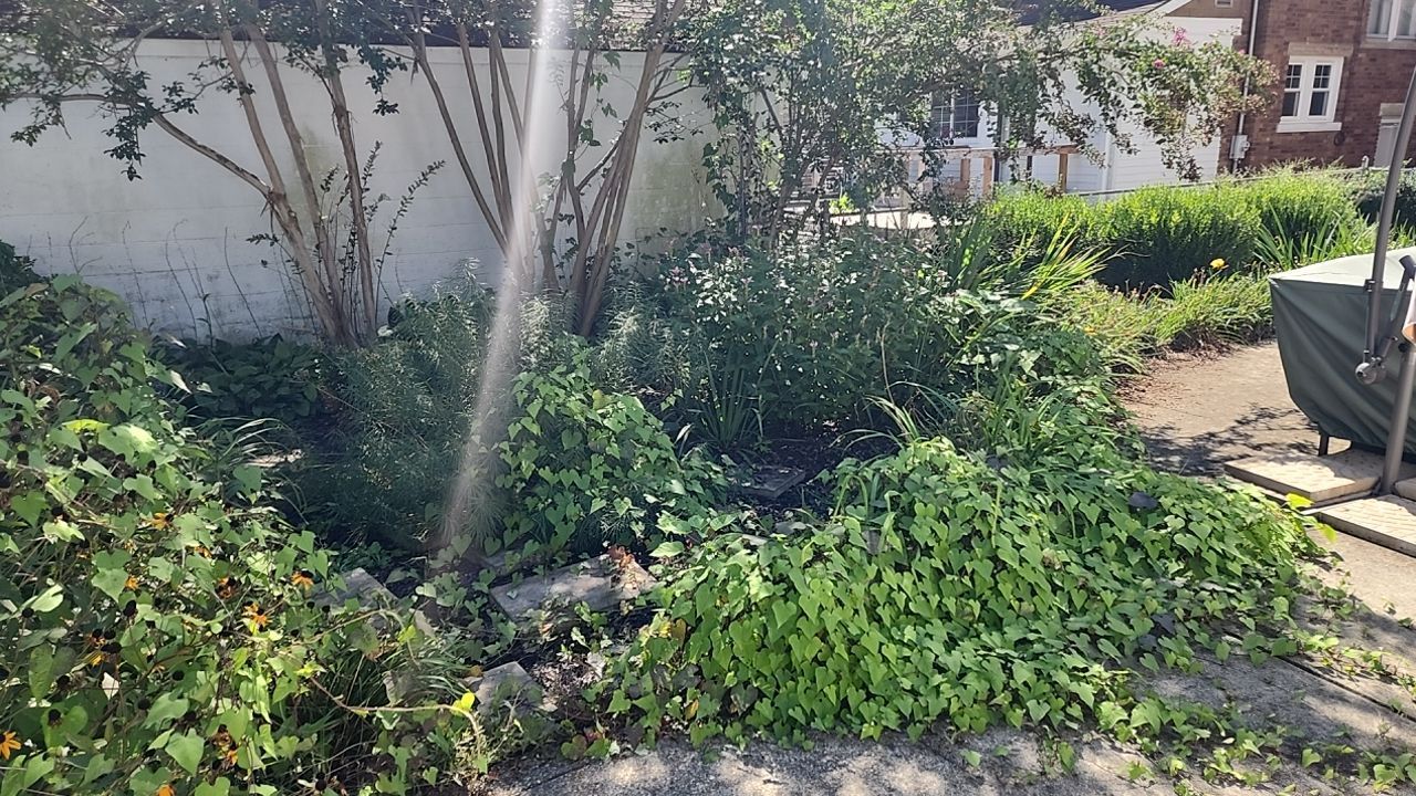 Total transformation! by GrassBusters, Inc.