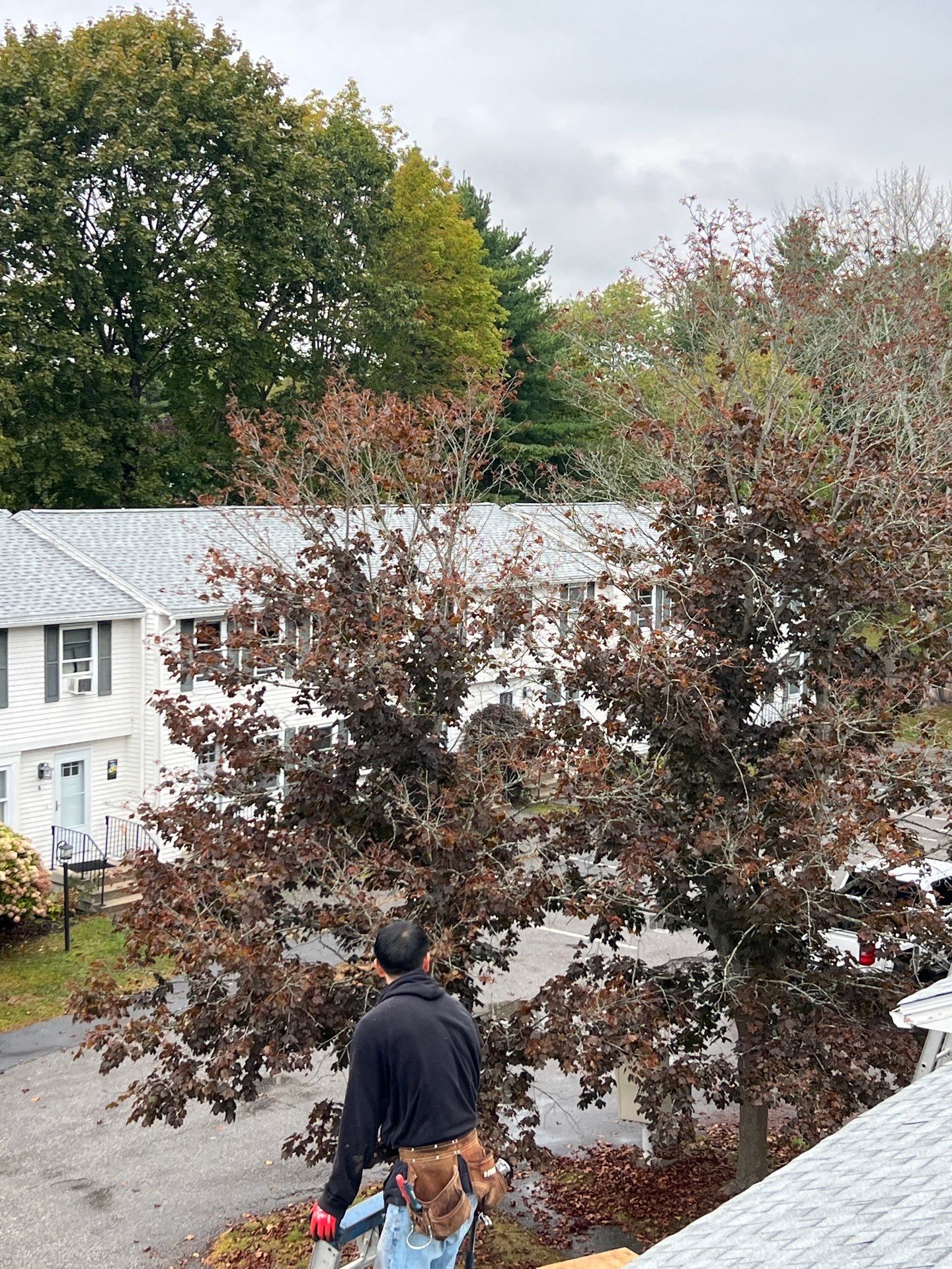 Multi-Unit Townhouse Asphalt Roofing Replacement in Saco by Tall pine roofing