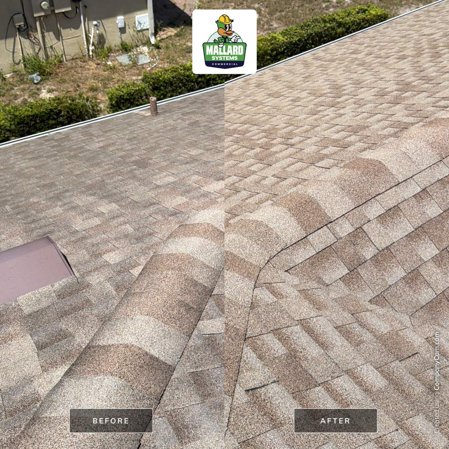 Professional Roof Cleaning and Shingle Treatment in Ocoee, Florida by Mallard Systems