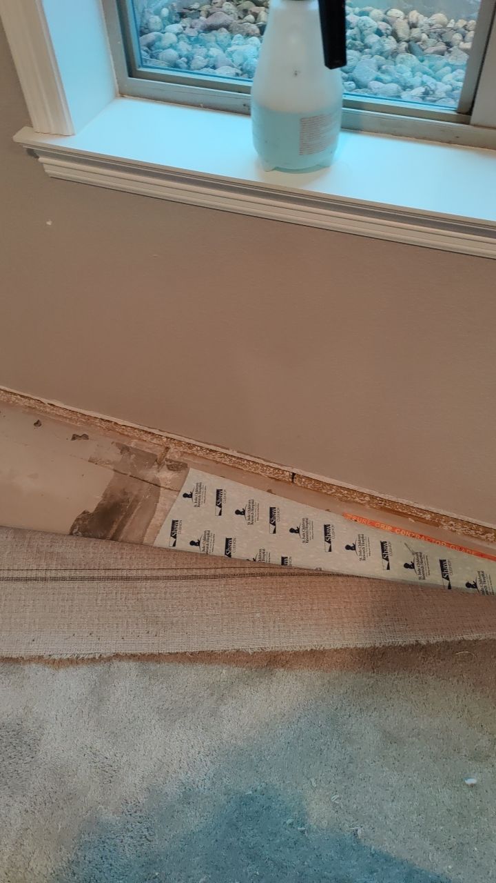 Mold Remediation  by Accountable Home Services