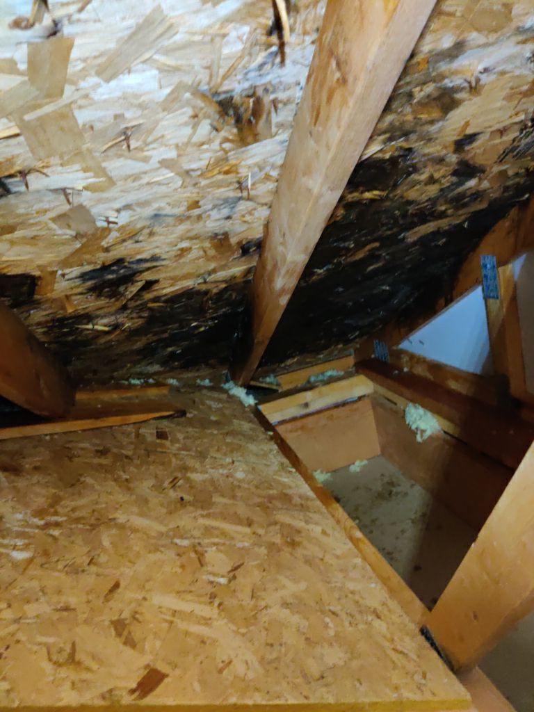 Mold Remediation Cleanup in Attic by Accountable Home Services