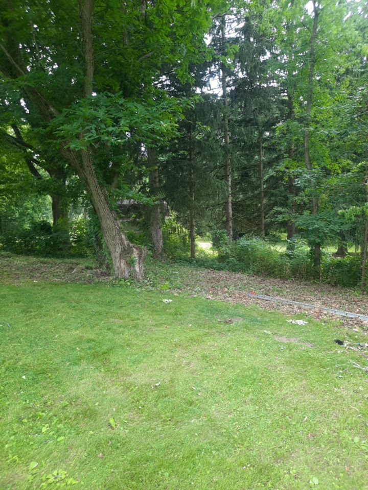 Tree Removal using Tree Removal by Mike Jones & Sons Tree Service LLC 