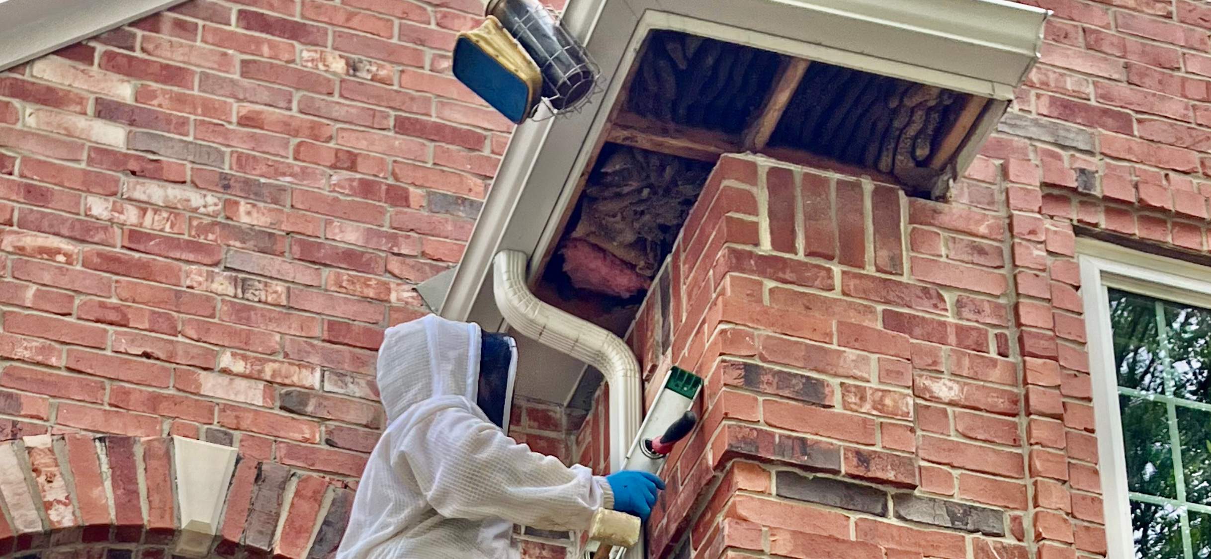 Caution! by Rockwall Honey Bee Company