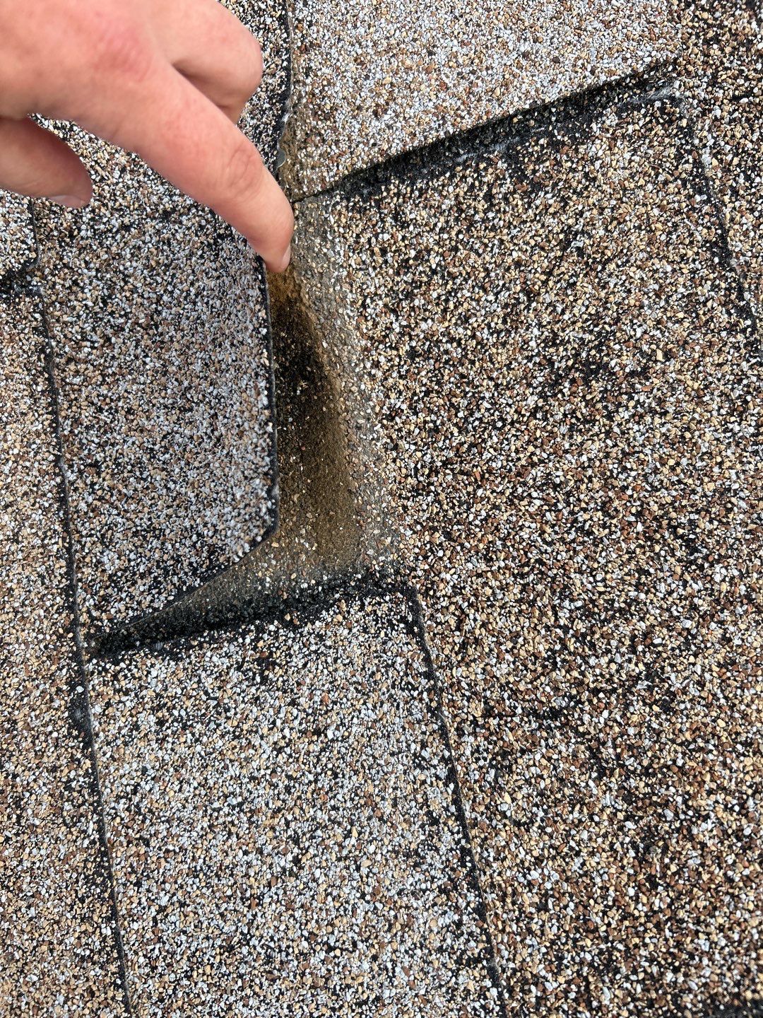 Zuriel's Full Re-Roof by All Storm Roofing & Construction