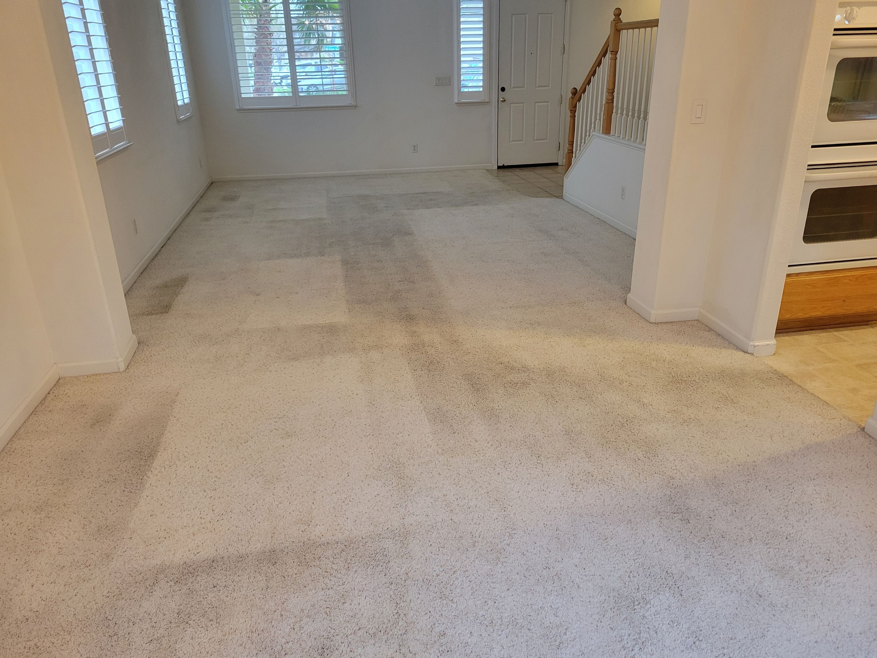 Traffic Carpet Fiber Abrasions, Cleaning by Ardent Carpet Restore LLC