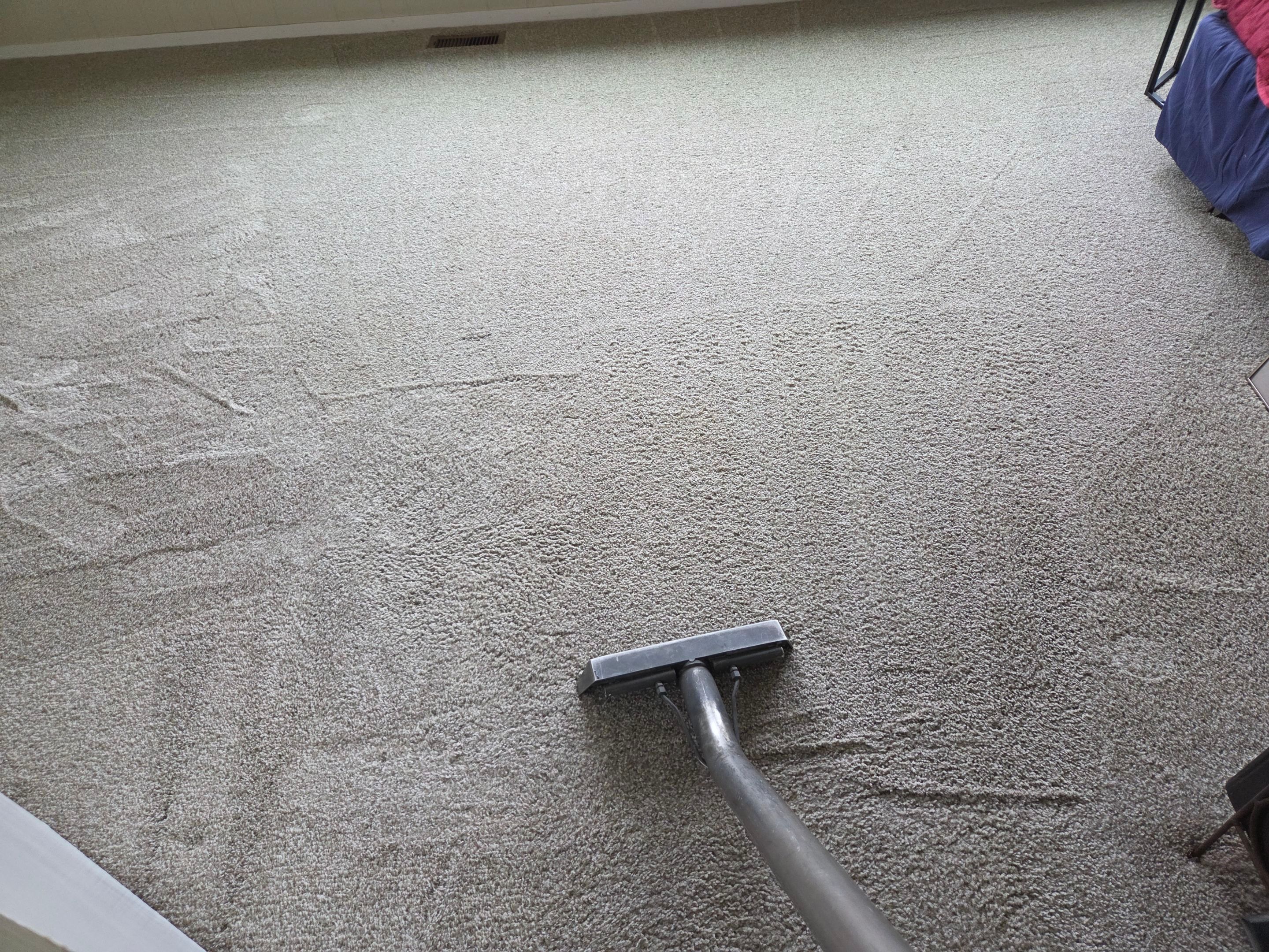 Pet Urine Pad Removal, Extraction and Cleaning by Ardent Carpet Restore LLC