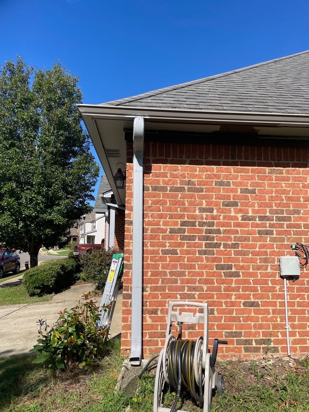 Downing Park - Paint by Pillar and Pine