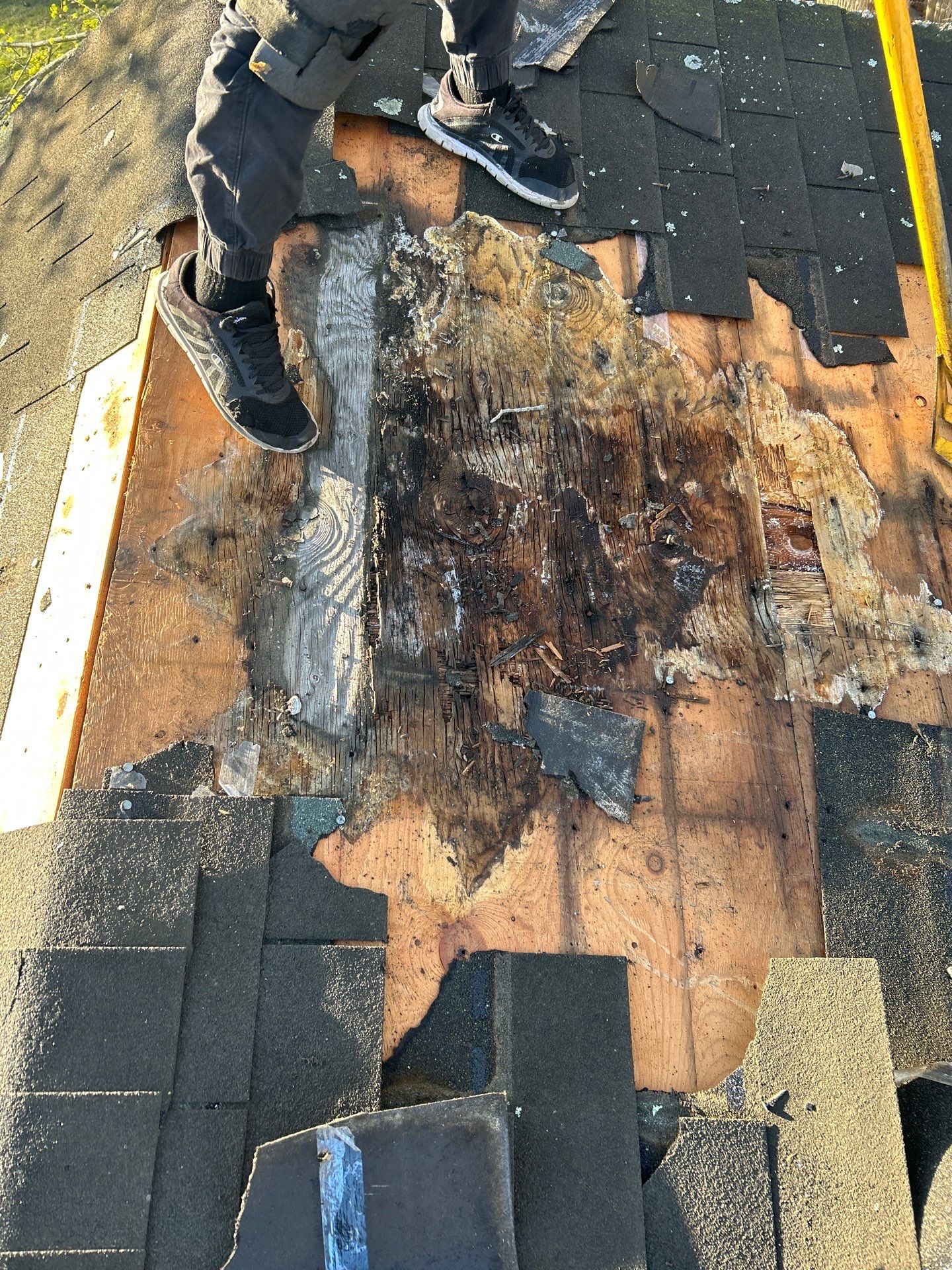 Roofing | North Billerica by Mighty Dog Roofing of Greater Middlesex County