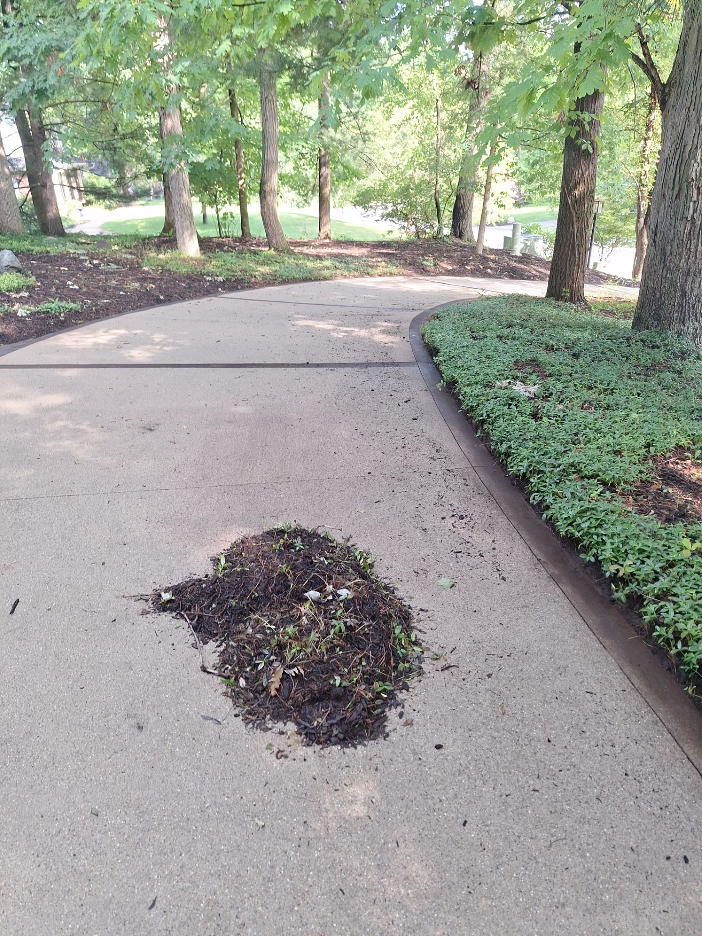 Concrete Driveway and Walkway Staining With Espresso Borders in Grand Rapids by Gordon Painting