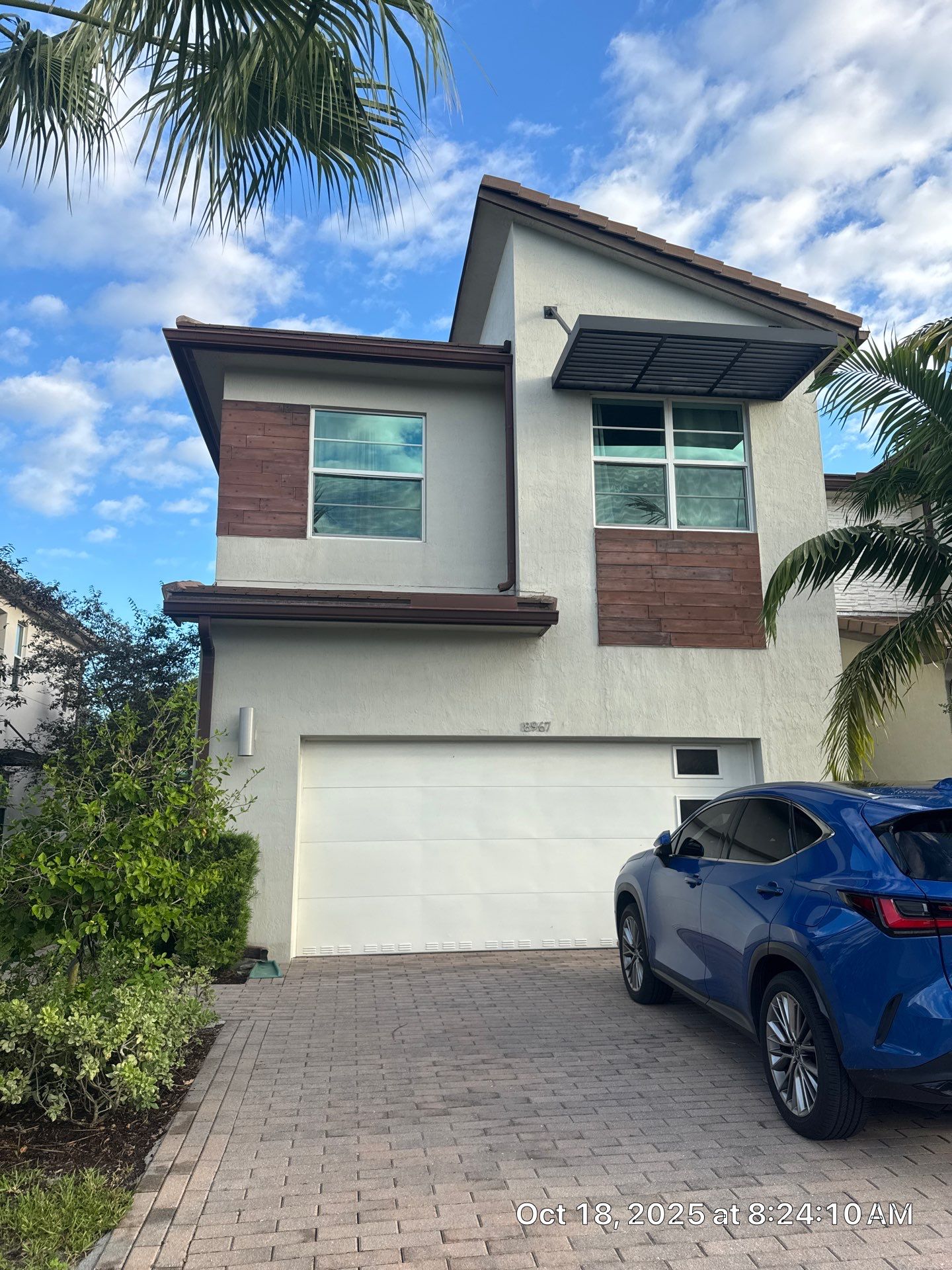 WATER DAMAGE WELLINGTON by SuperClean 