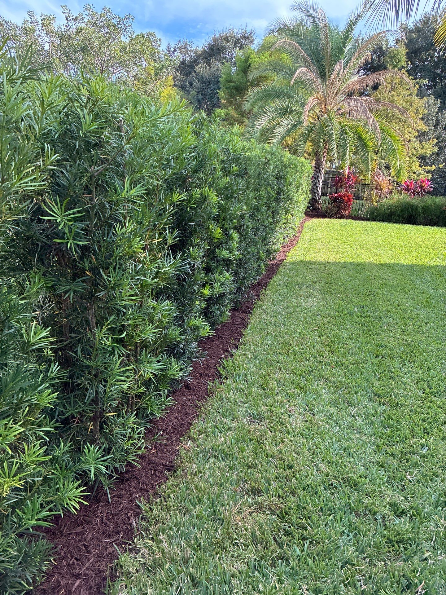 🍃 Berry Park | Detail & Refresh Project  📍 Palm City, Florida by Alpha Zeta Enterprises Inc