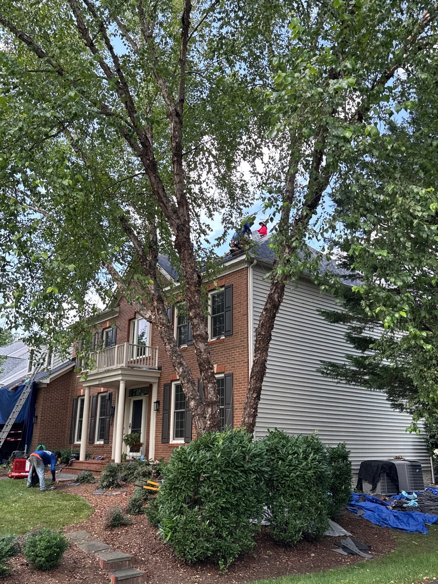 New Shingle Roof & New Gutters and downspouts with covers by Alpha Design Services
