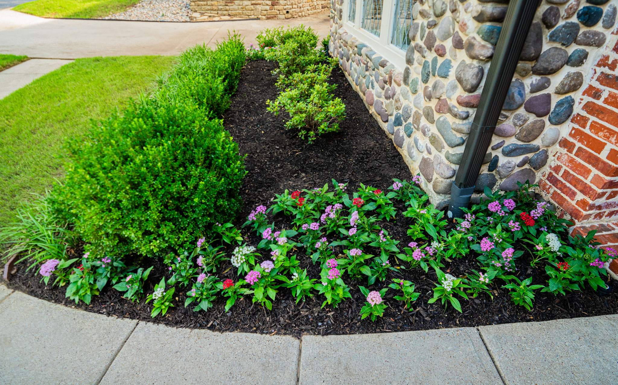 Southern Charm: Revitalizing a Cottage Garden by Complete Exterior Solutions