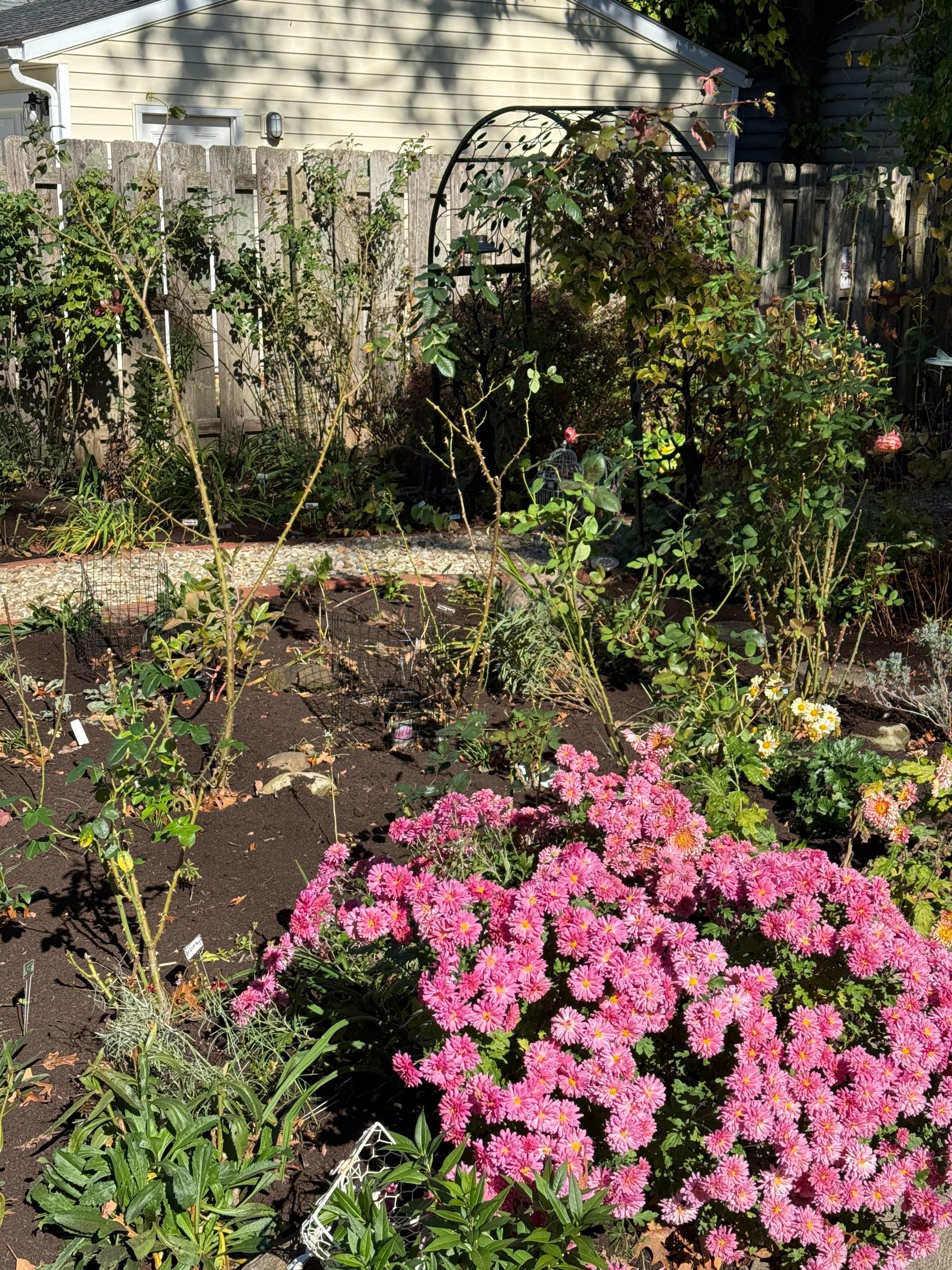 Majestic Garden Maintanance by Elm Rose Gardens