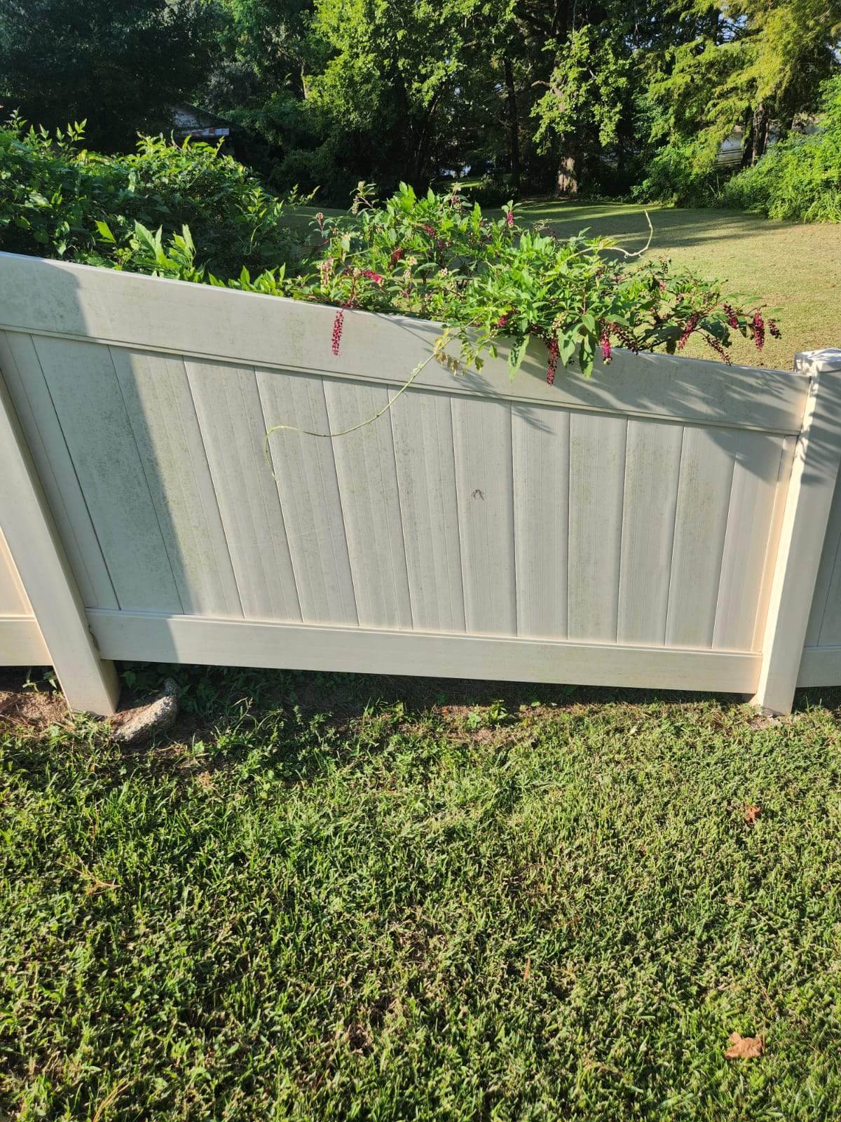 Fence Soft Wash by College Bros Outdoor services