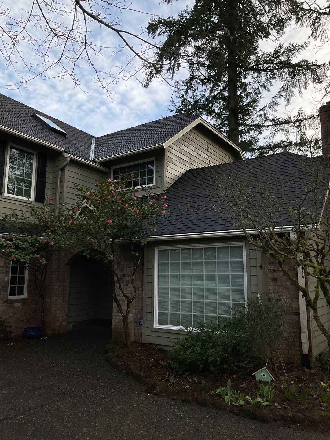 Roof Treatment and Driveway Wash Using Biocide by Willamette Outdoor Wash LLC