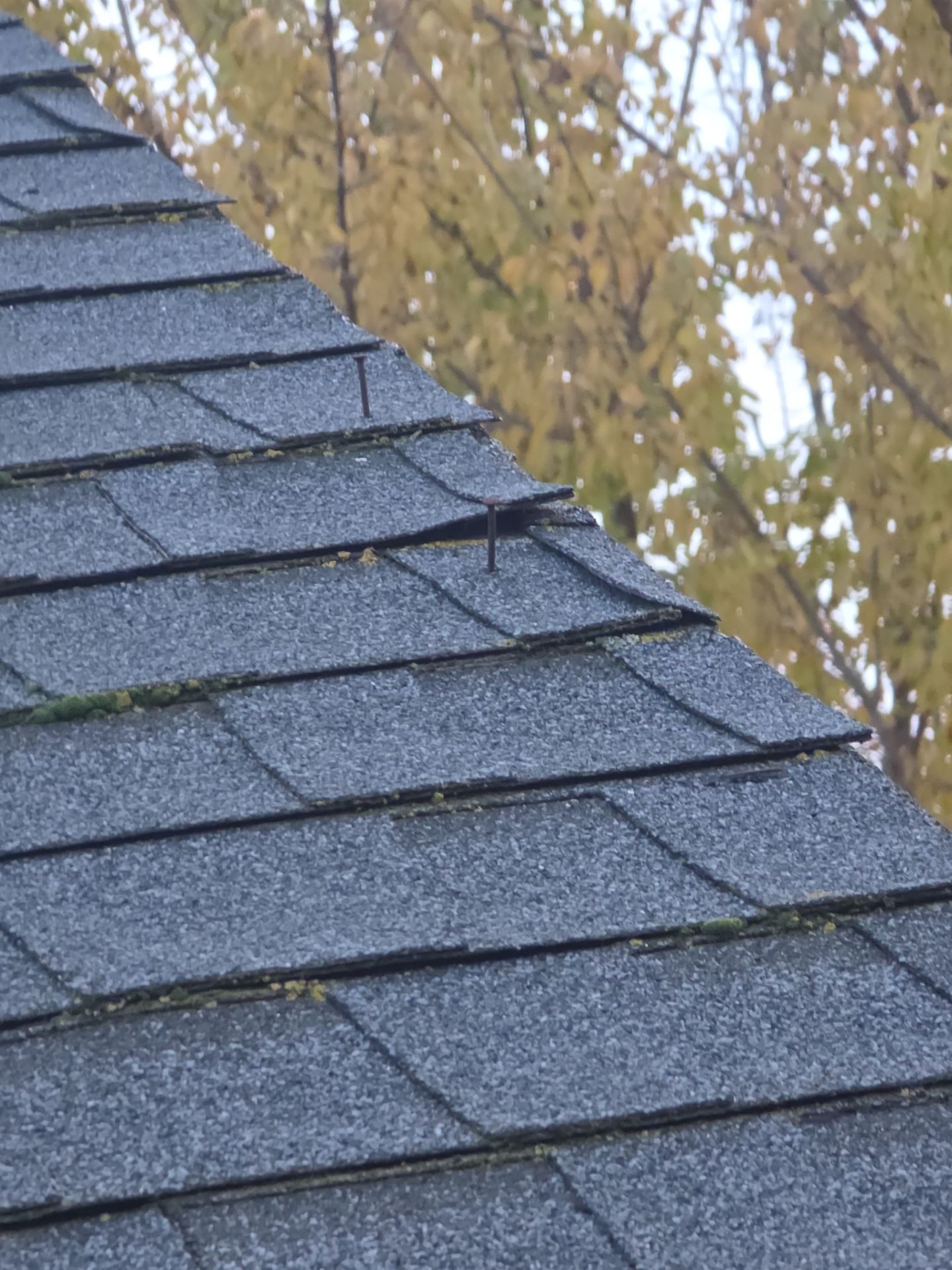 Roof Rejuvenation using Roof Maxx Treatment by Roof Maxx of Folsom