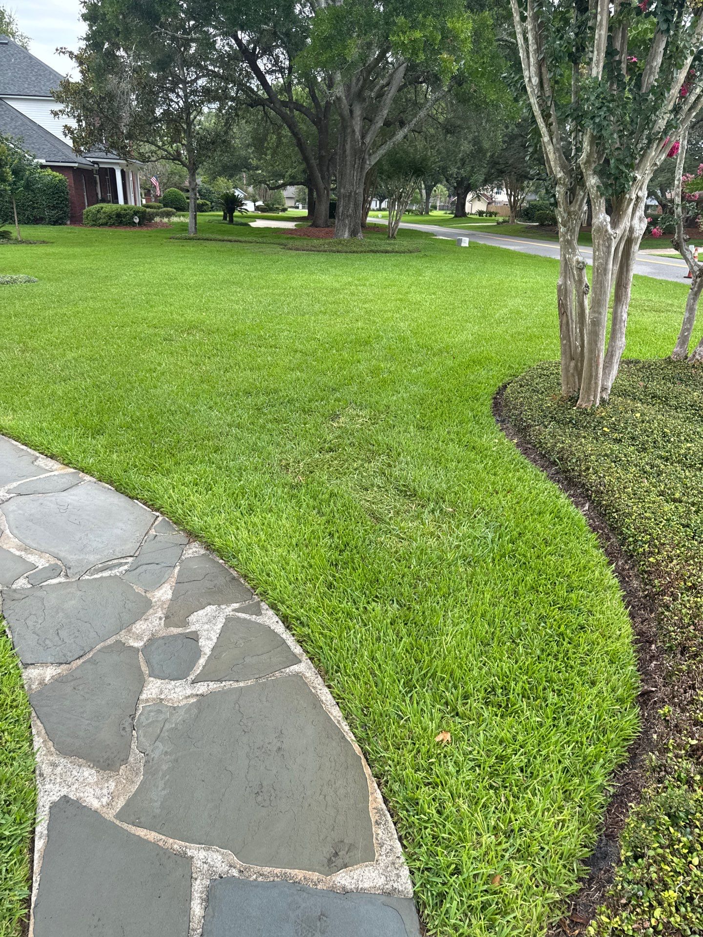 Deerwood Resident | Sod & Plant Installation by ProGreen Services