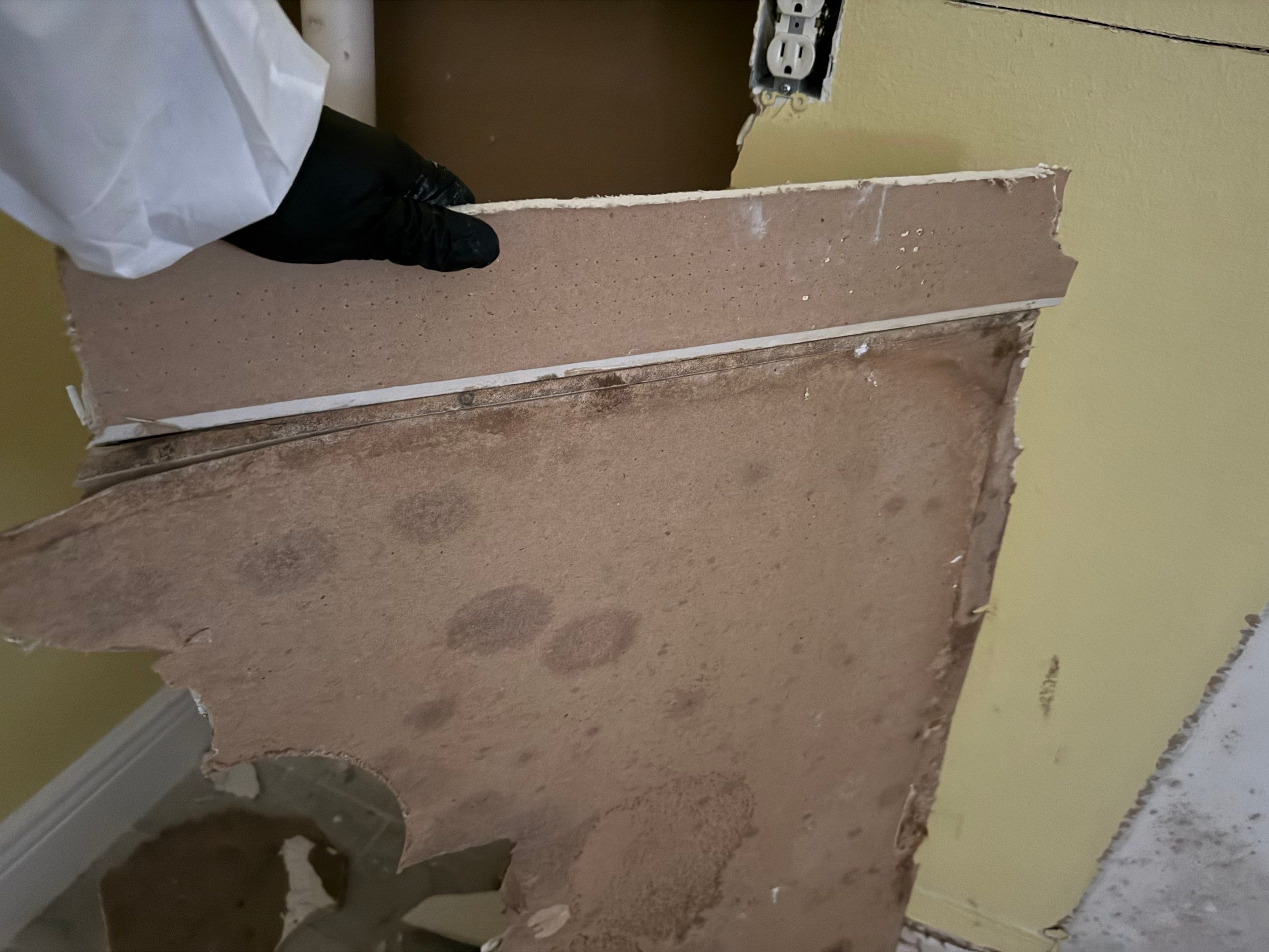 Project in Ocala by You Restorations LLC DBA YOU-Home