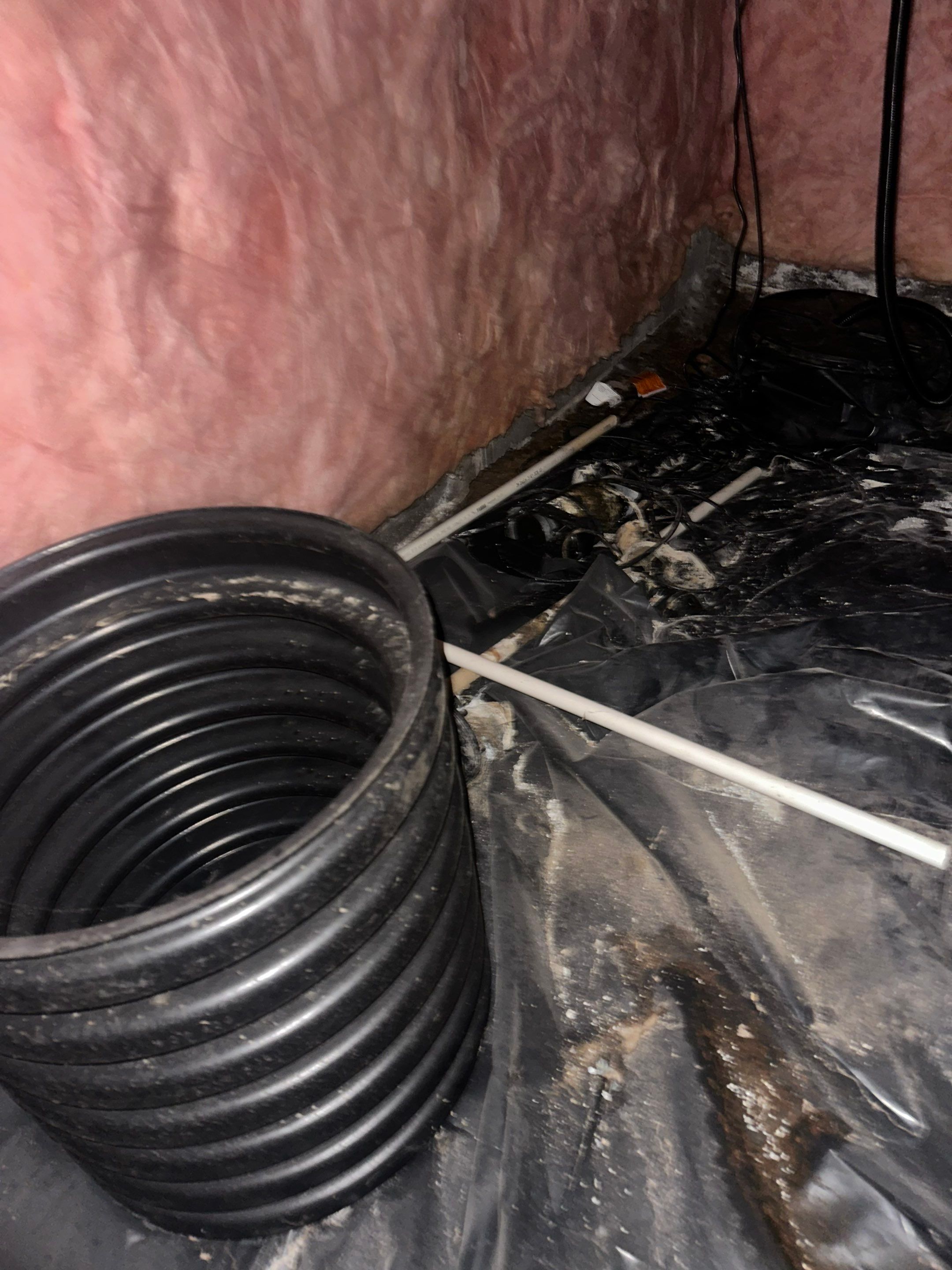 Mold Removal in Brighton, CO by Alpha Restoration 