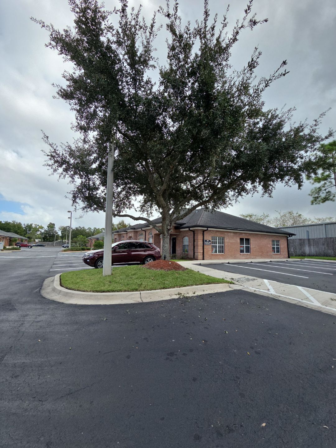 Commercial Property | Tree Removal & Trimming by ProGreen Services