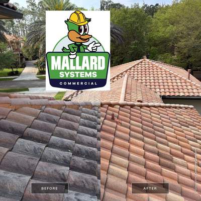 Tile Roof Cleaning
