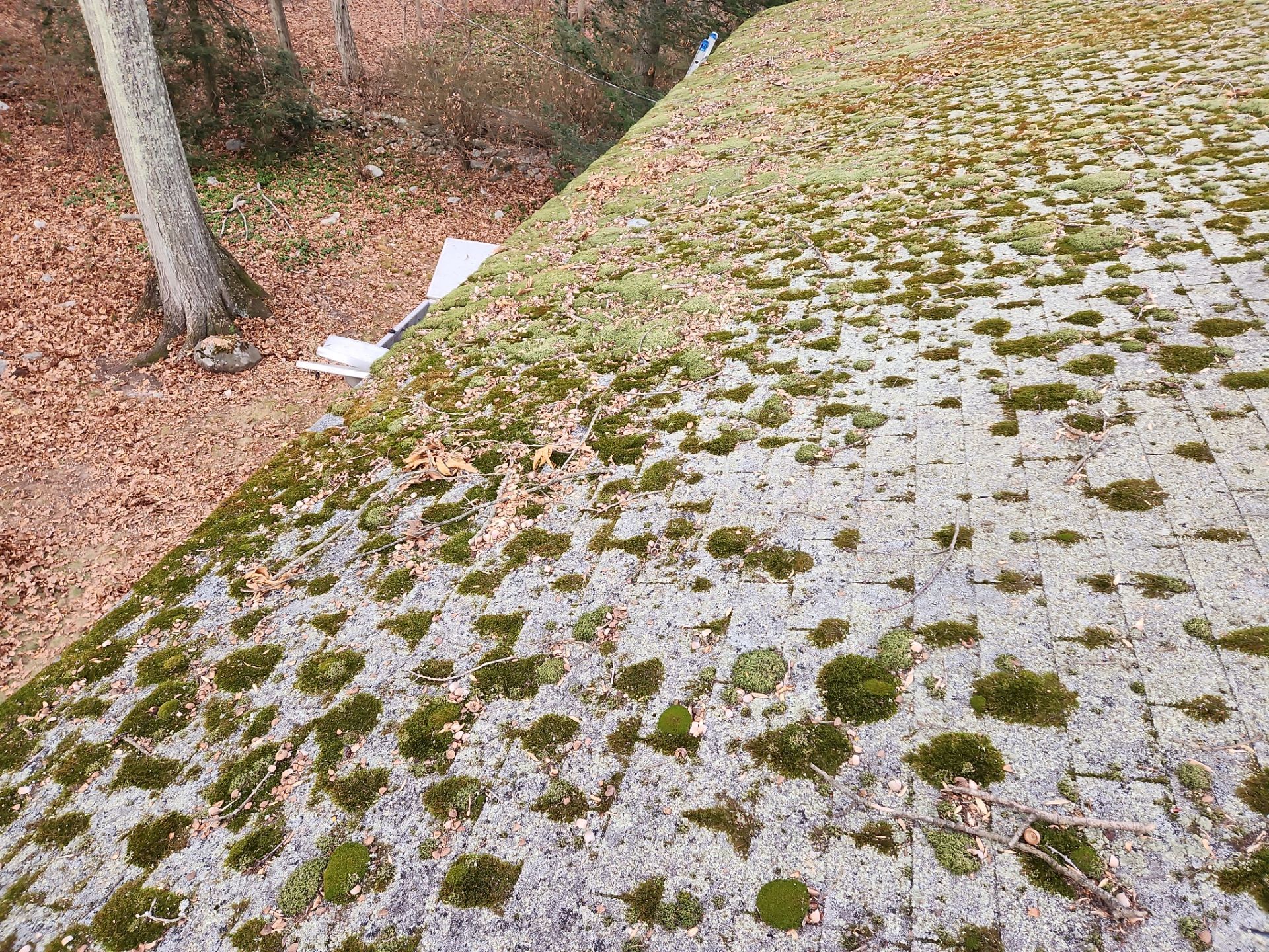 Residential Roofing Installation using Owens Corning TruDefinition Duration AR - Williamsburg Gray by A Plus Exterior