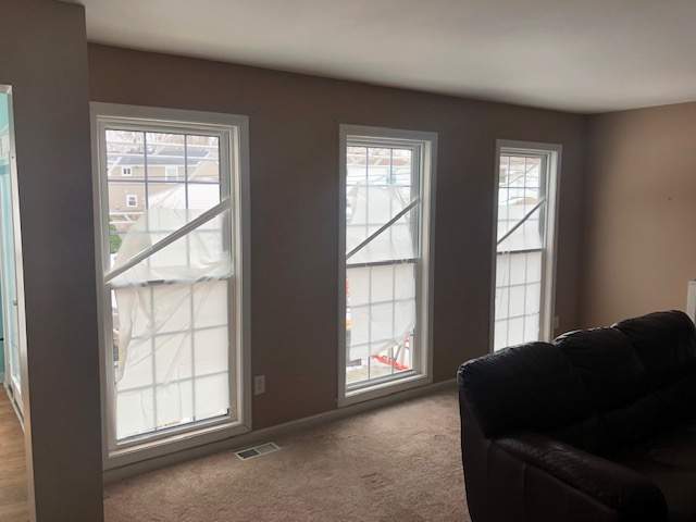 Window Replacement and Entry Door by Ivy Lea Construction
