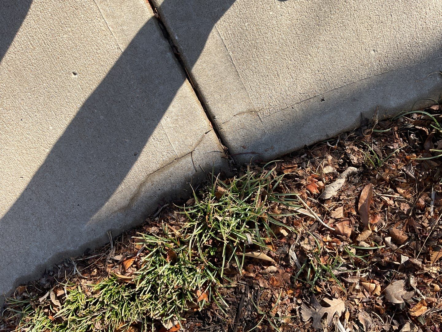 Patio using Cabin Fever by Select Painting, Coatings & Garage Cabinets