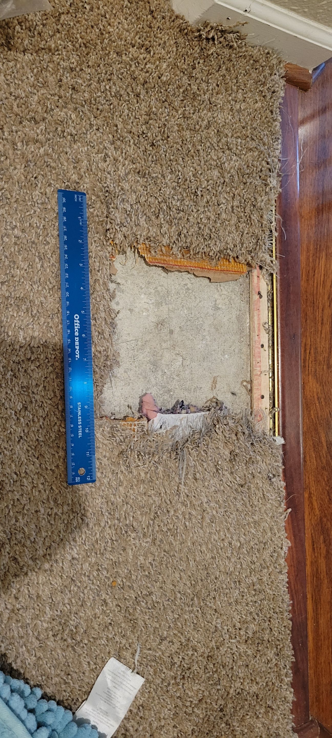 Repairing Carpet Chewed by a Dog by Ardent Carpet Restore LLC