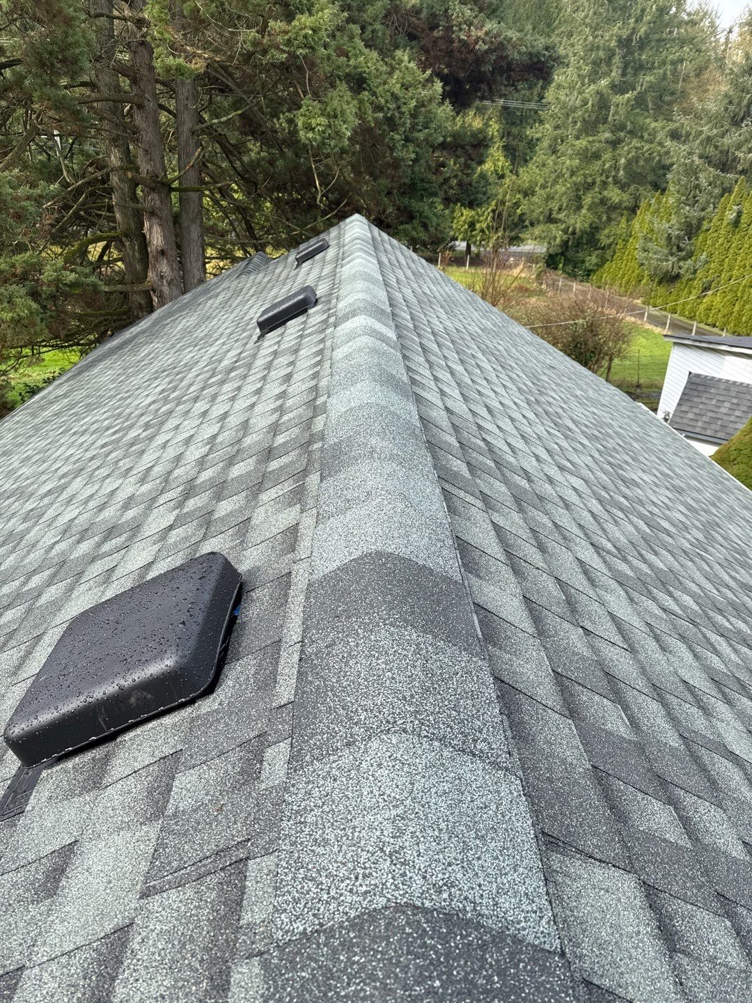Residential Reroof Shingle by Top Notch Roofing Inc