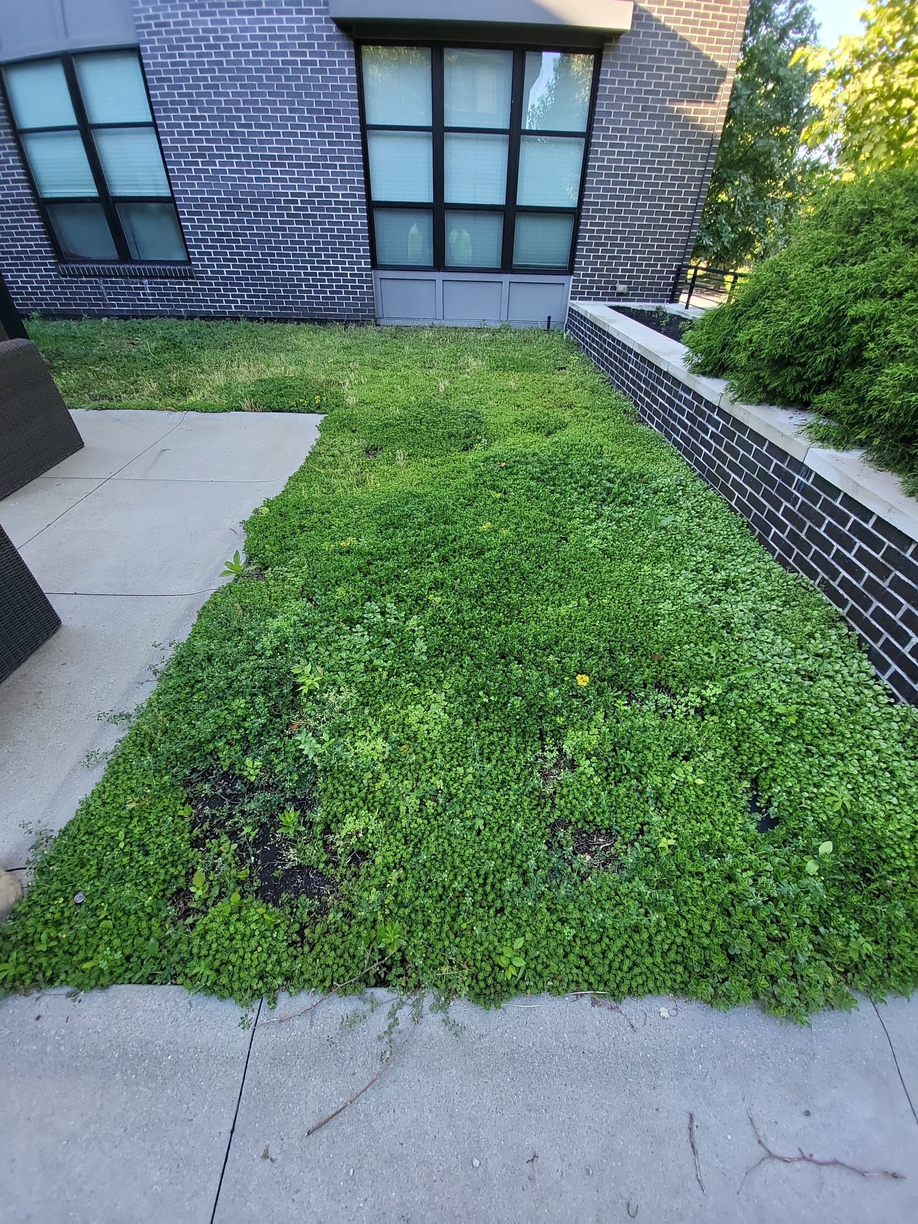 Above Garage Courtyard Synthetic Lawn @ The Broadview by Southwest Greens Midwest
