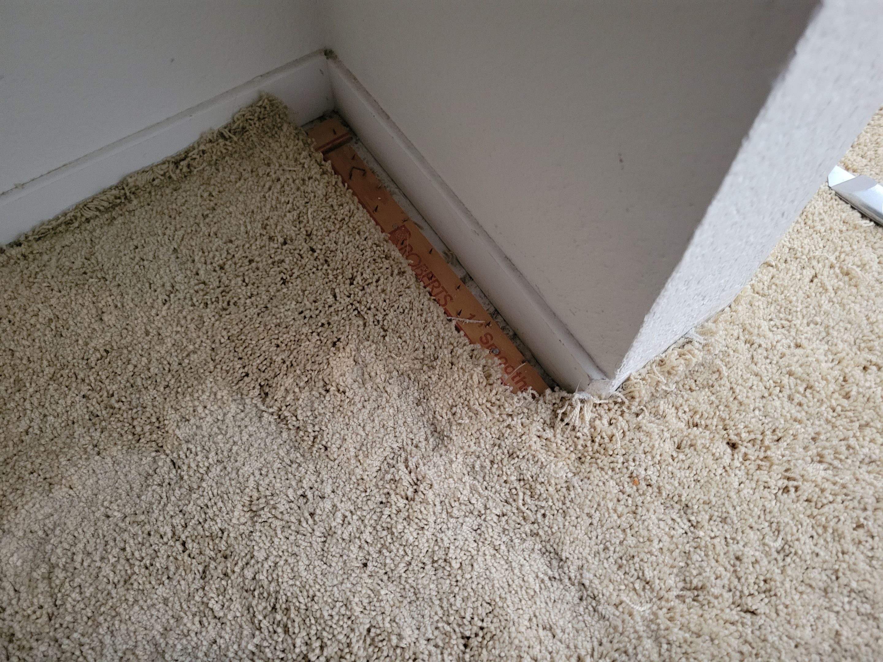 Carpet Re-stretching and Cleaning by Ardent Carpet Restore LLC