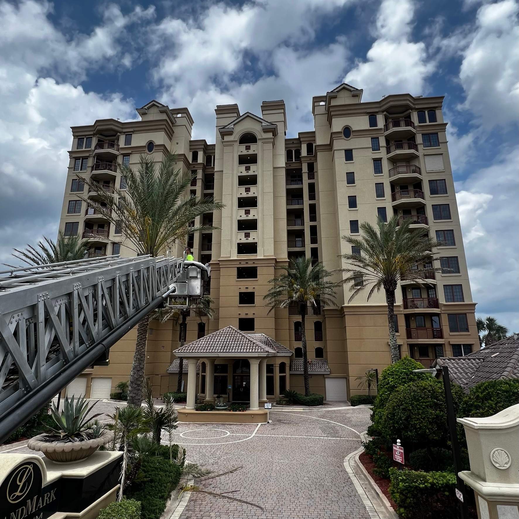 Palm Trimming | Landmark Condominiums by ProGreen Services