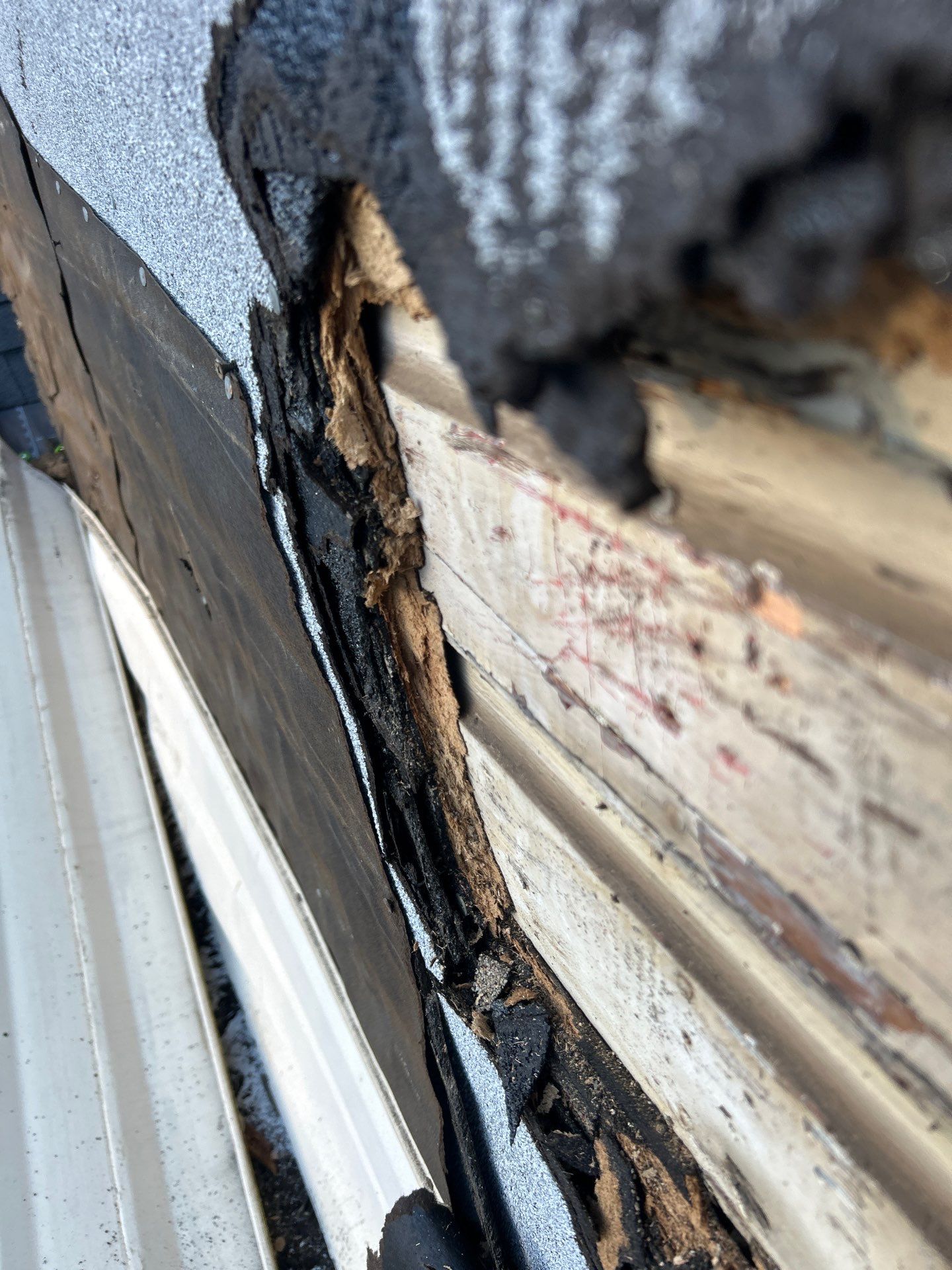 Project in Gypsy by Duarte’s Roofing 
