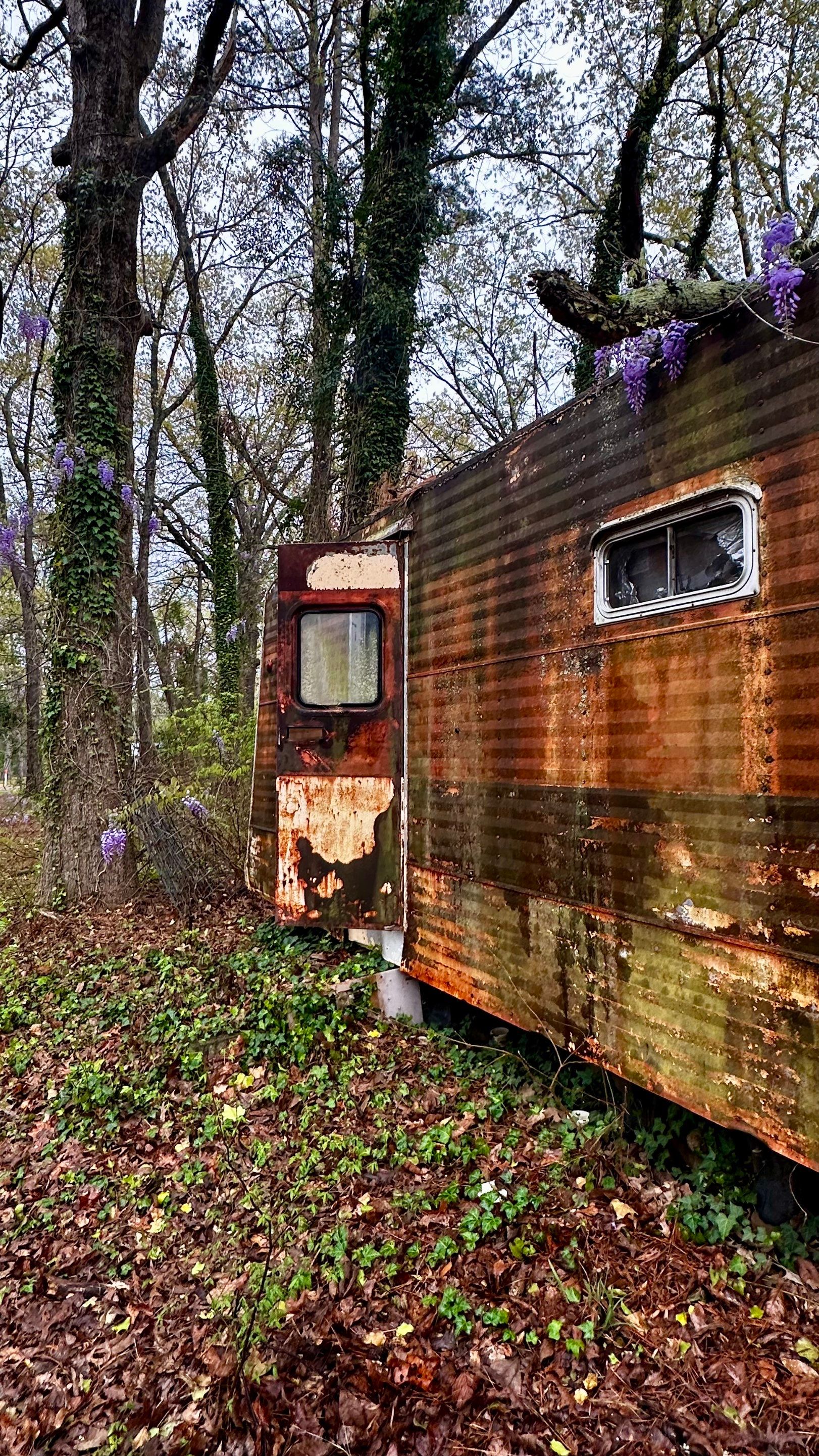 BeeGirl ETX HQ by Rockwall Honey Bee Company