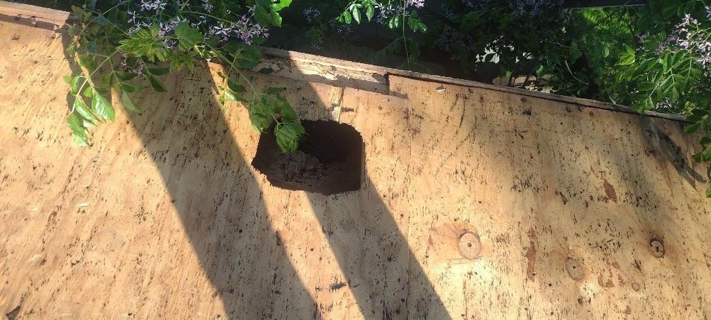 Project in Austin by Rhino Roofing and General Contracting, LLC