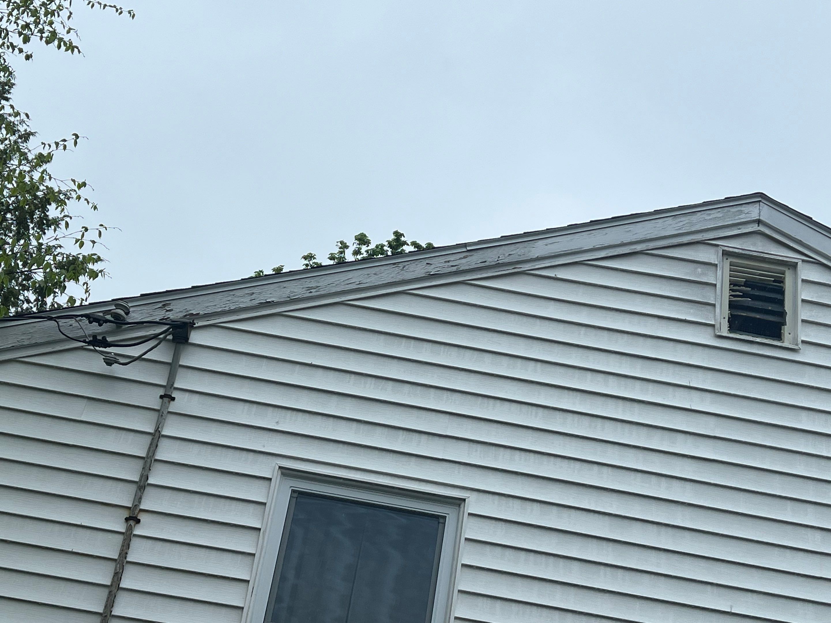 Gutters & Roofing | Acton by Mighty Dog Roofing of Greater Middlesex County