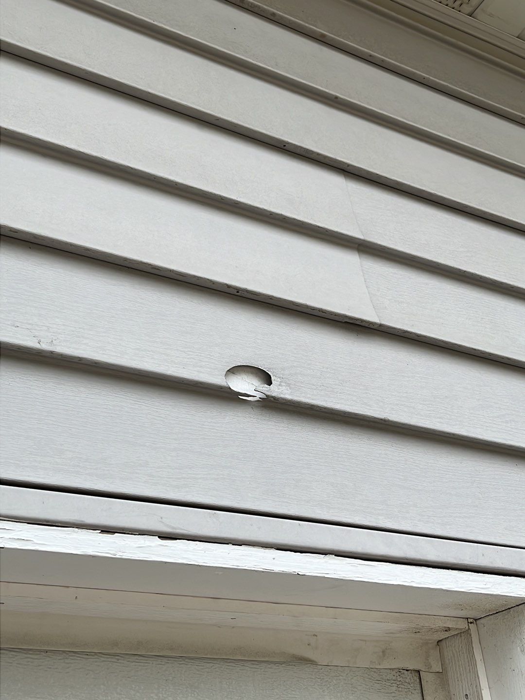 Siding Damage by G2
