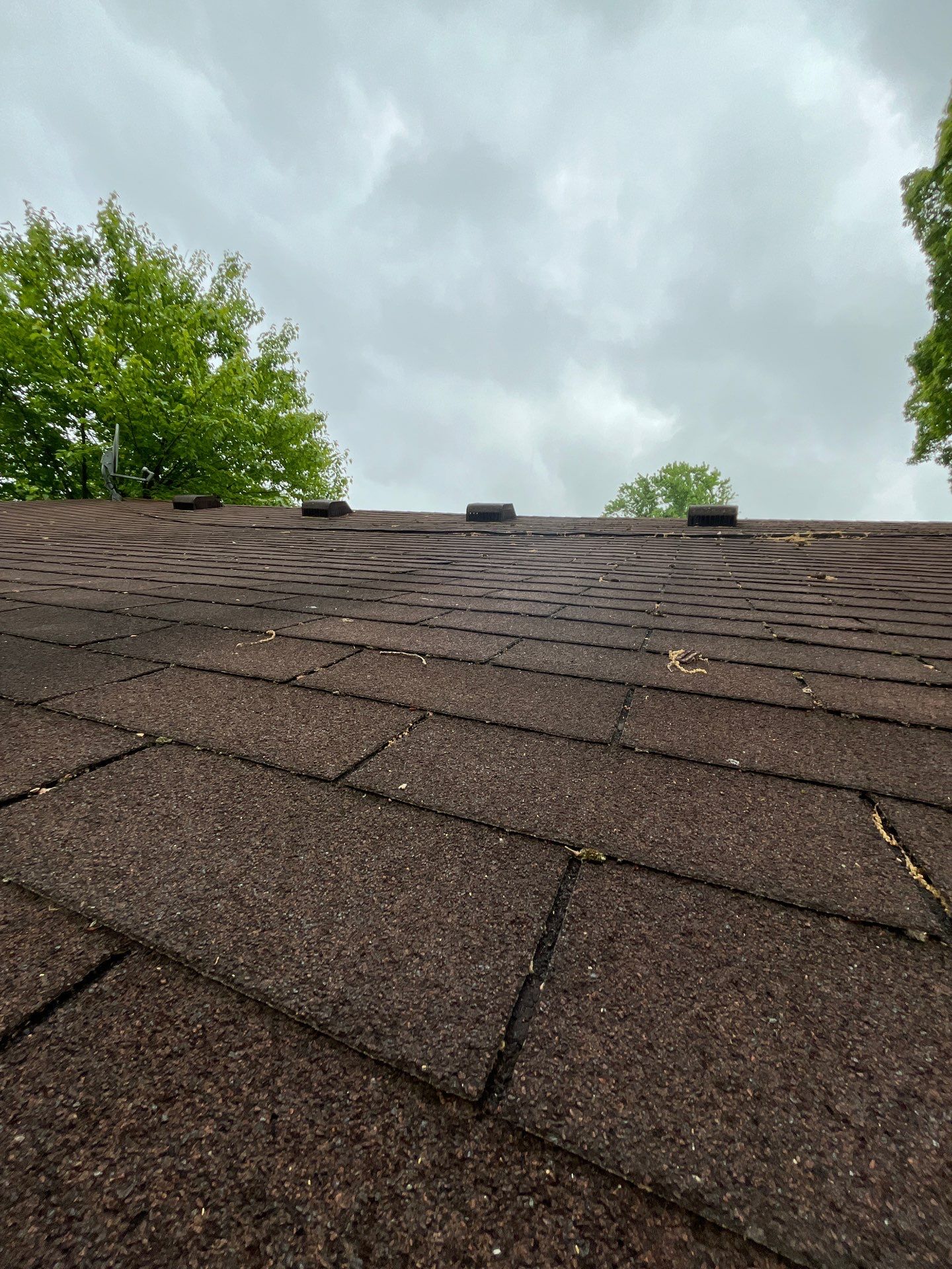 Roof Replacement using Owens Corning Onyx Black by 180 Contractors