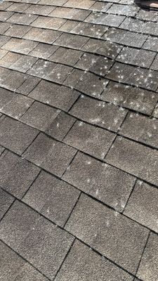 Turtle Shell gutter protection installation in Naperville, IL 60563, photograph 14