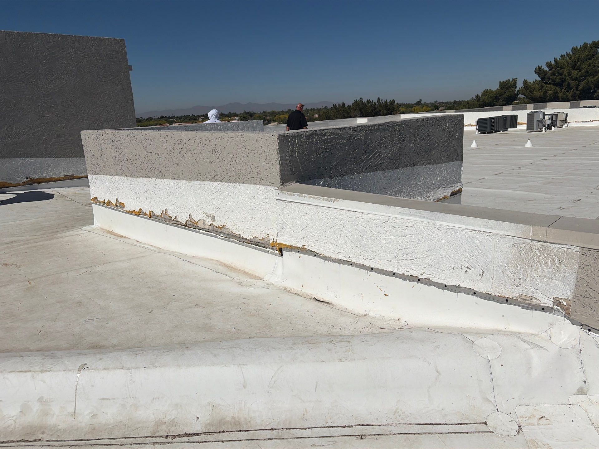 Project in Glendale by Crush Development Services LLC