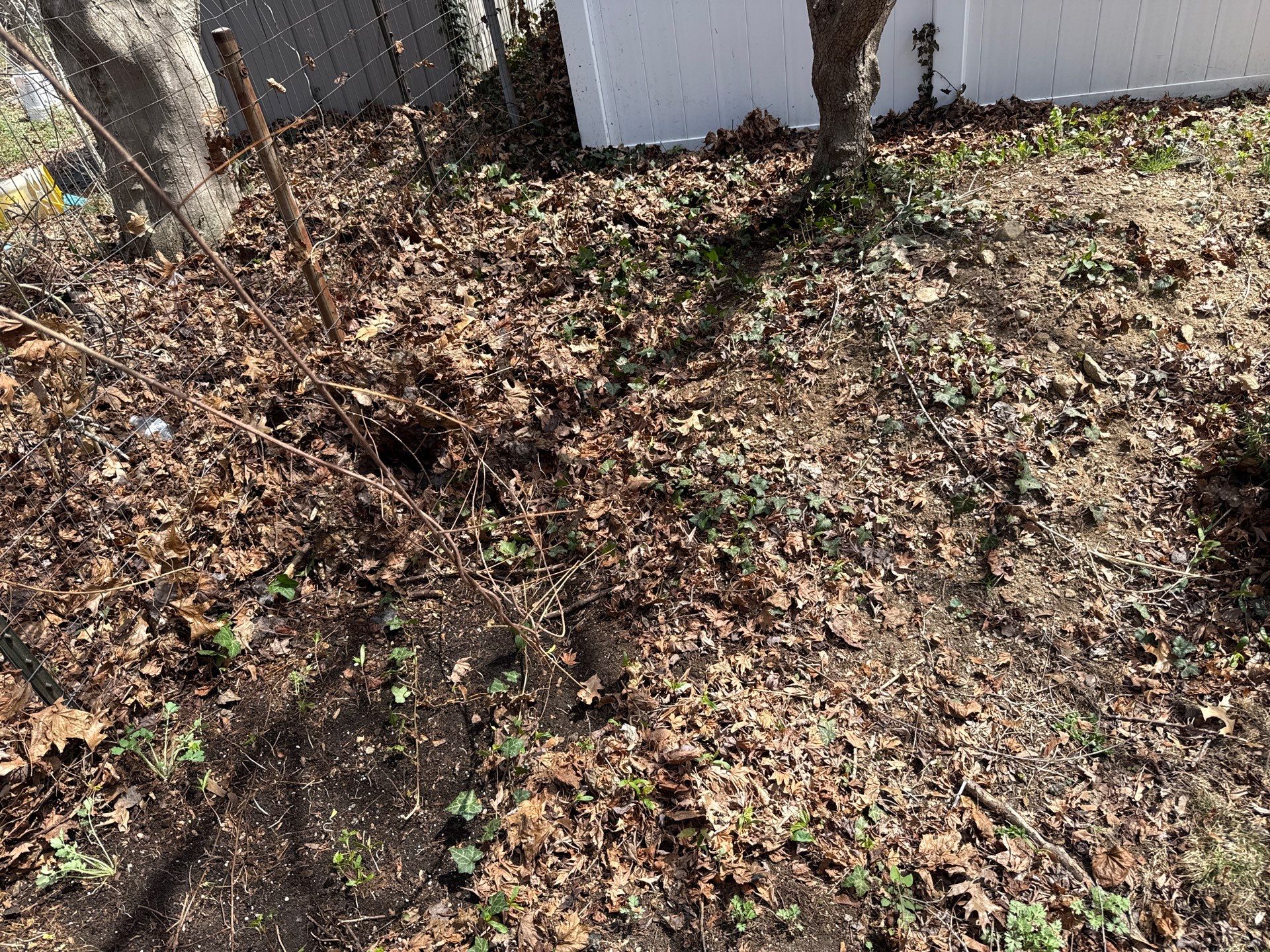 Comprehensive Spring Cleanup and Debris Removal in Clinton by Diamond Image LLC